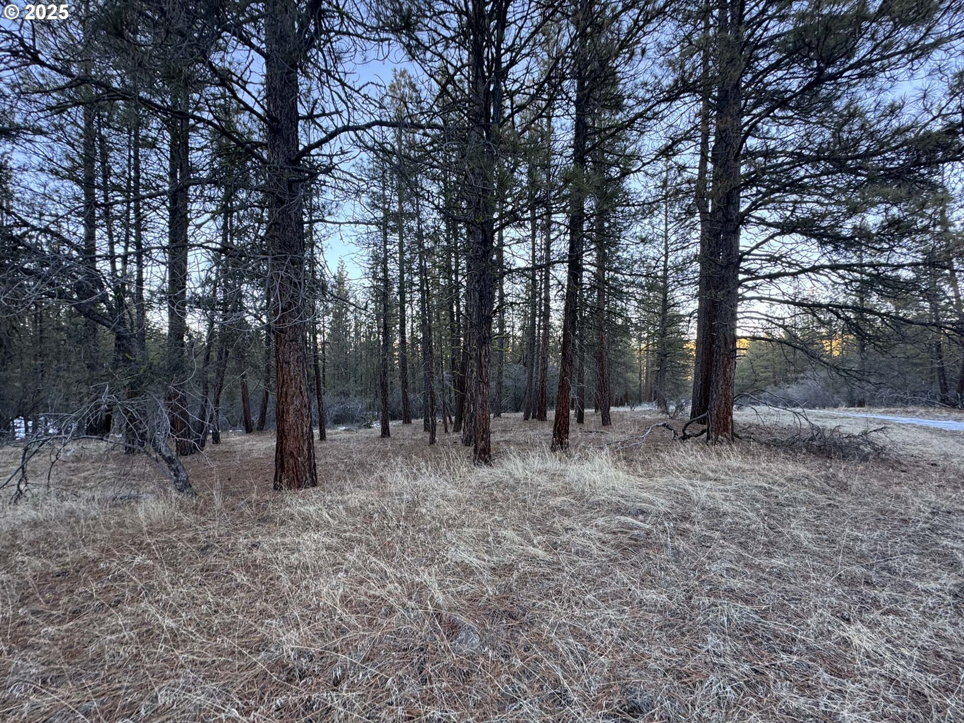 Bobcat Cir Lot 7 Property Photo 29