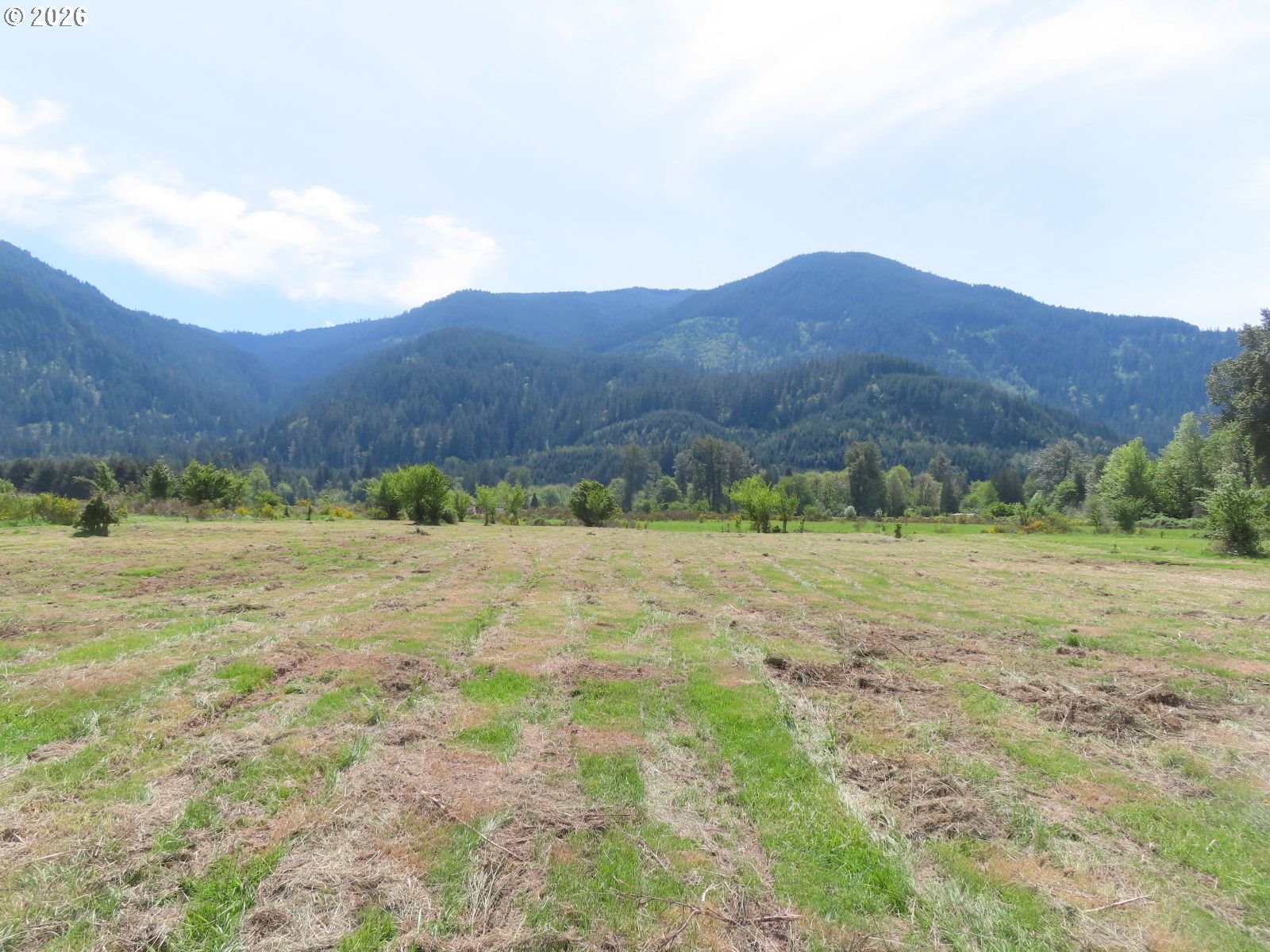 295 River Ranch Rd Property Photo 5
