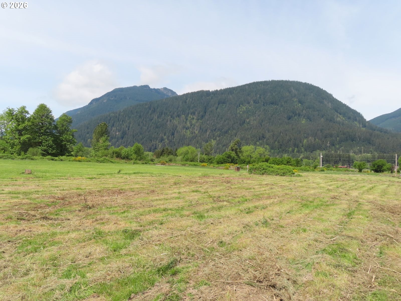 295 River Ranch Rd Property Photo 13