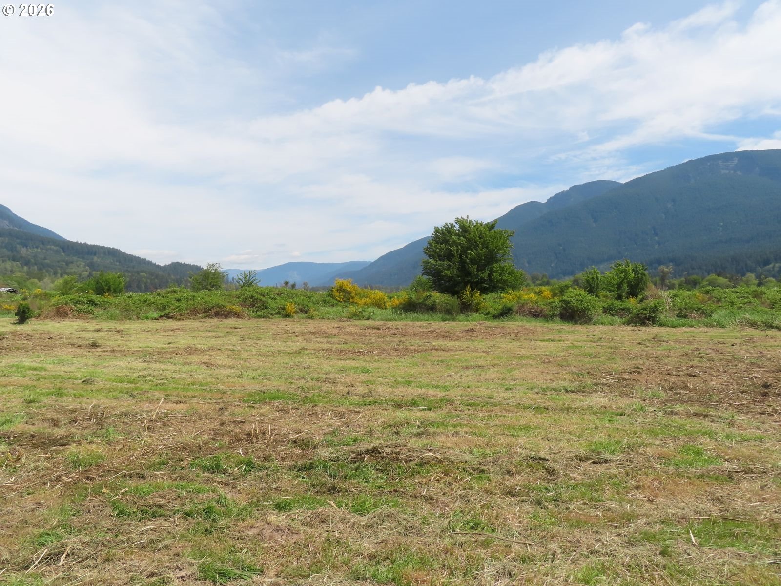 295 River Ranch Rd Property Photo 14