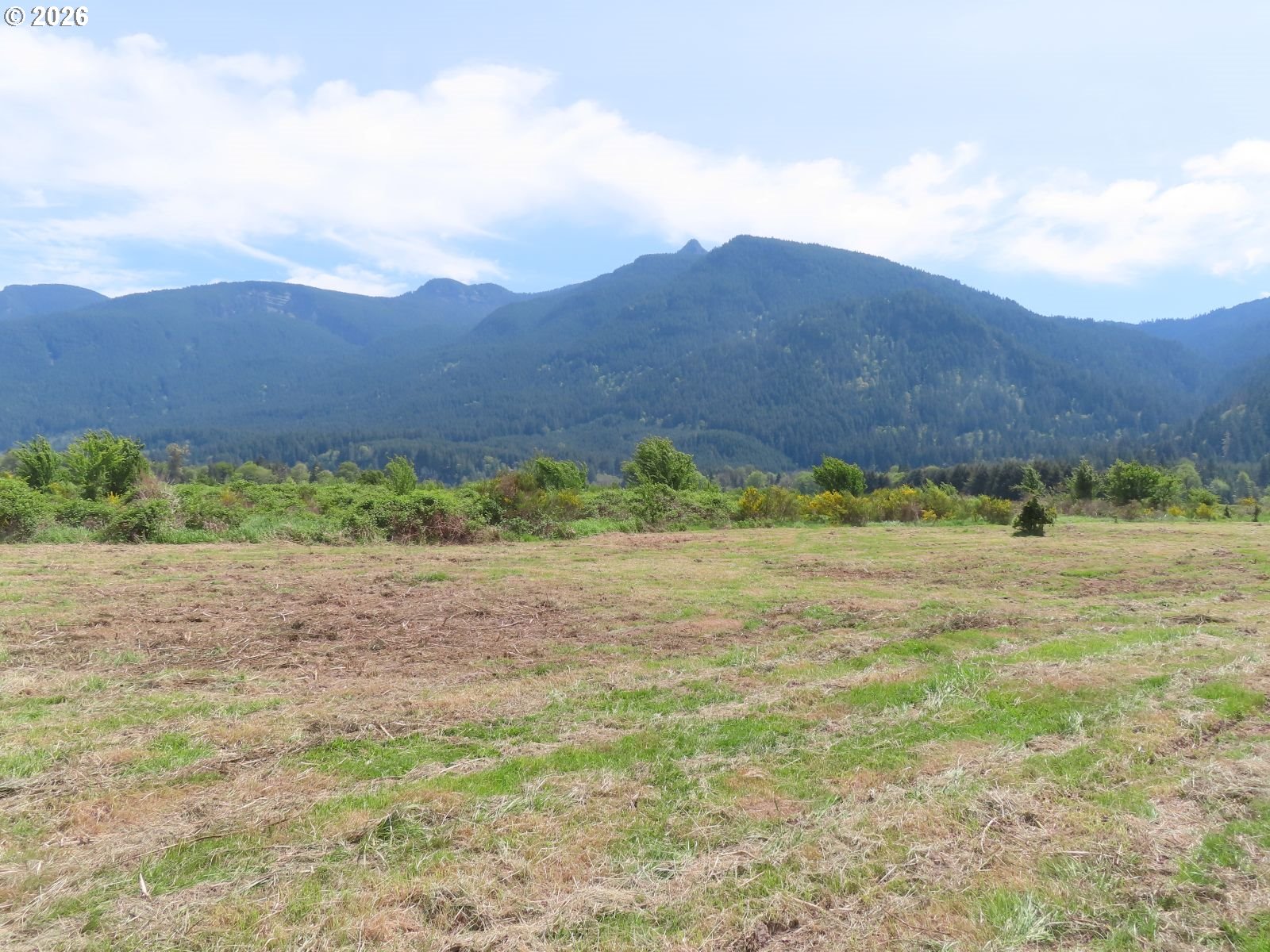 295 River Ranch Rd Property Photo 15