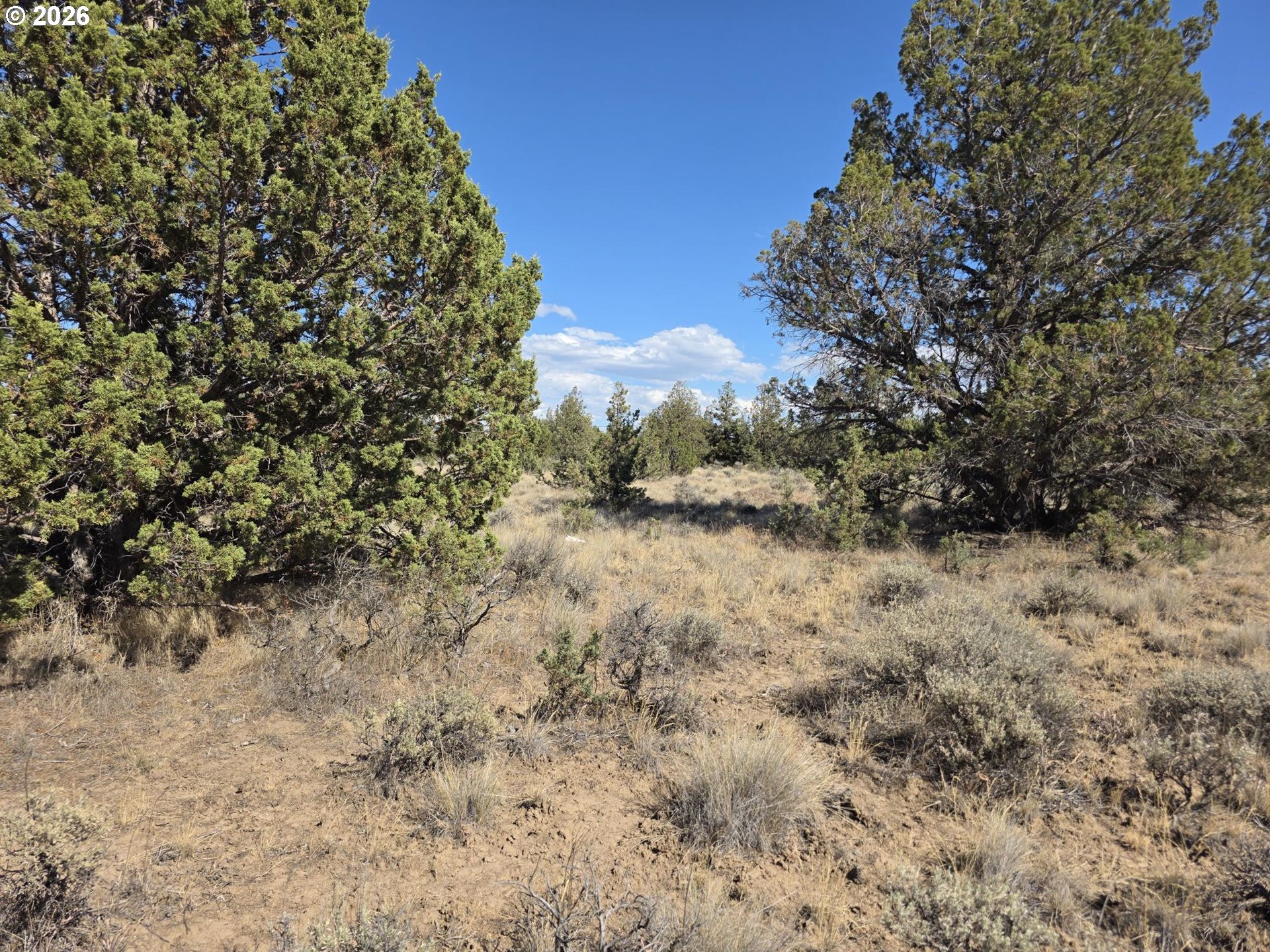 Se Cayuse Rd Tl1000 Property Photo 4