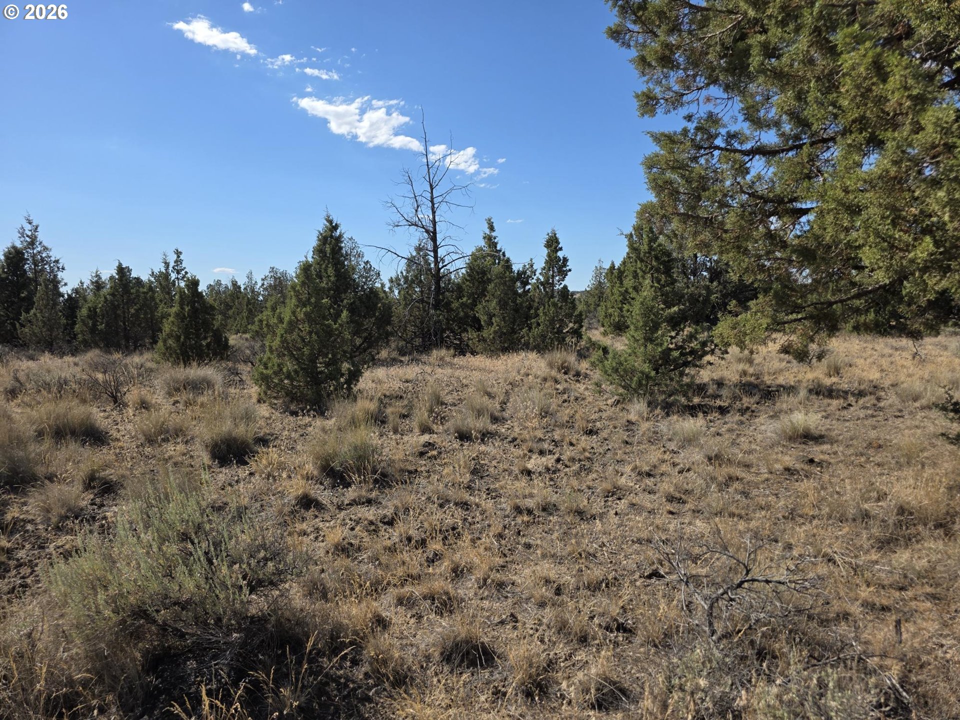 Se Cayuse Rd Tl1000 Property Photo 5