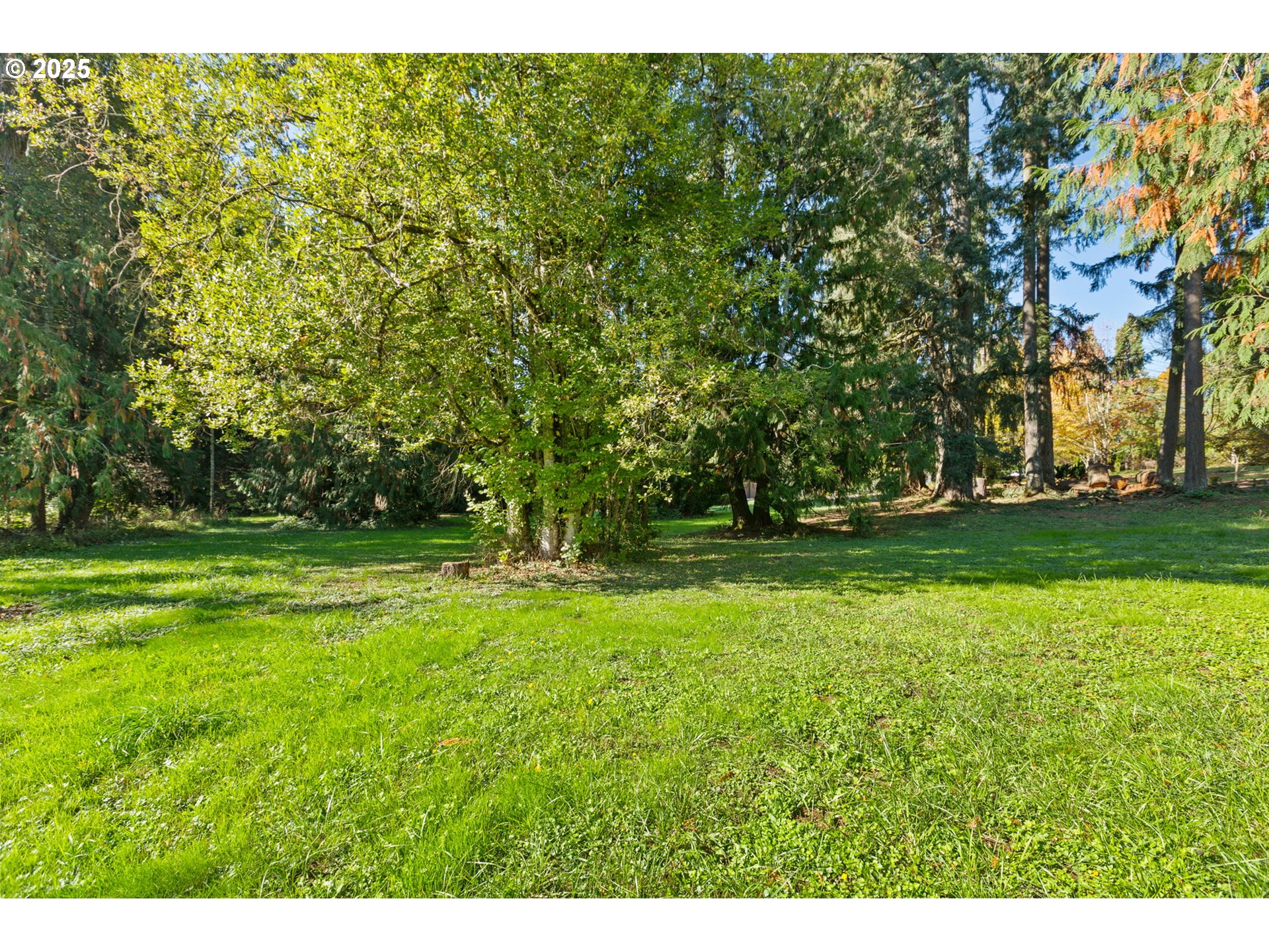7411 Se Cottrell Rd Property Photo 39