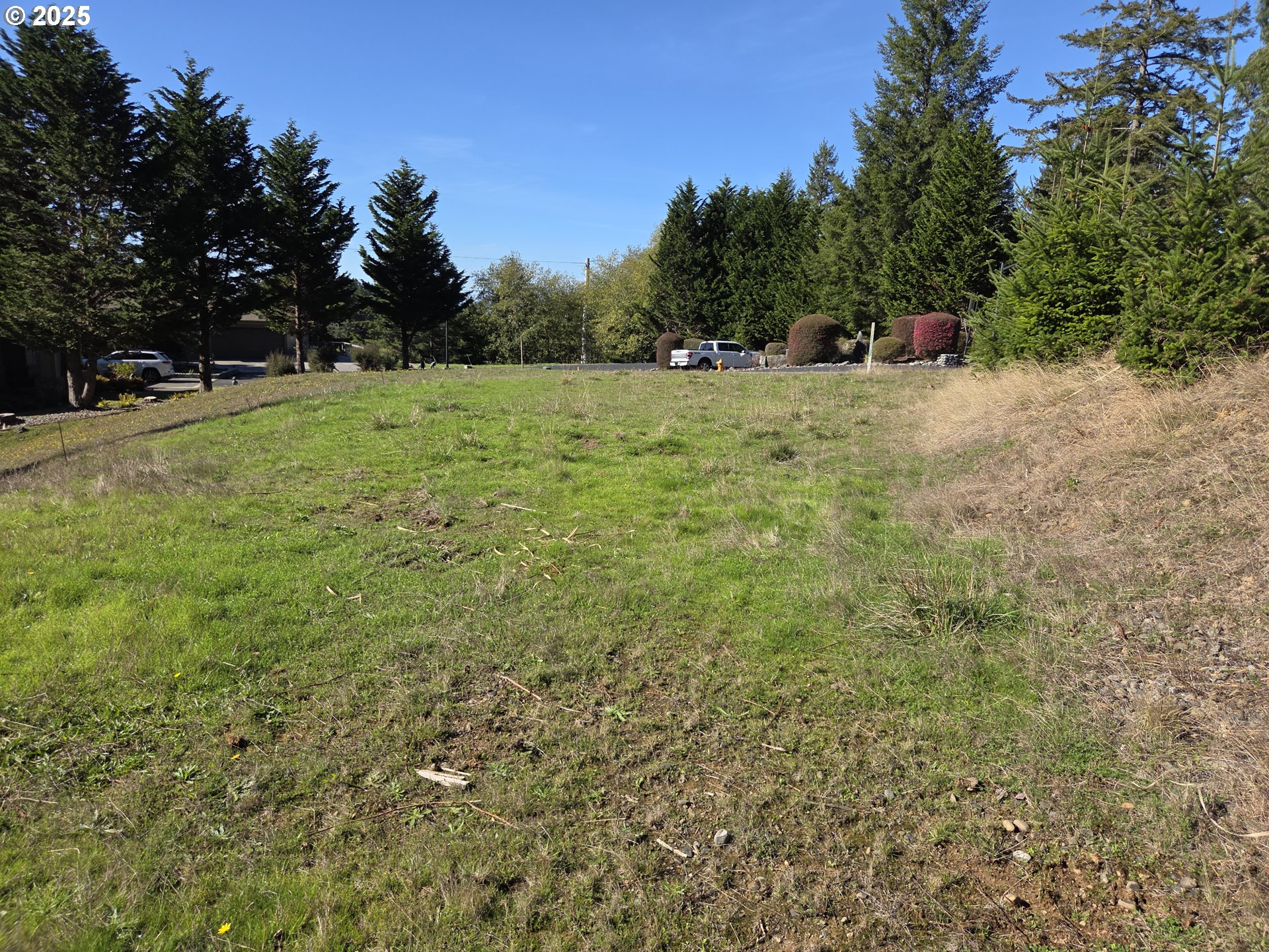 7771 ZOE DR Property Photo 1