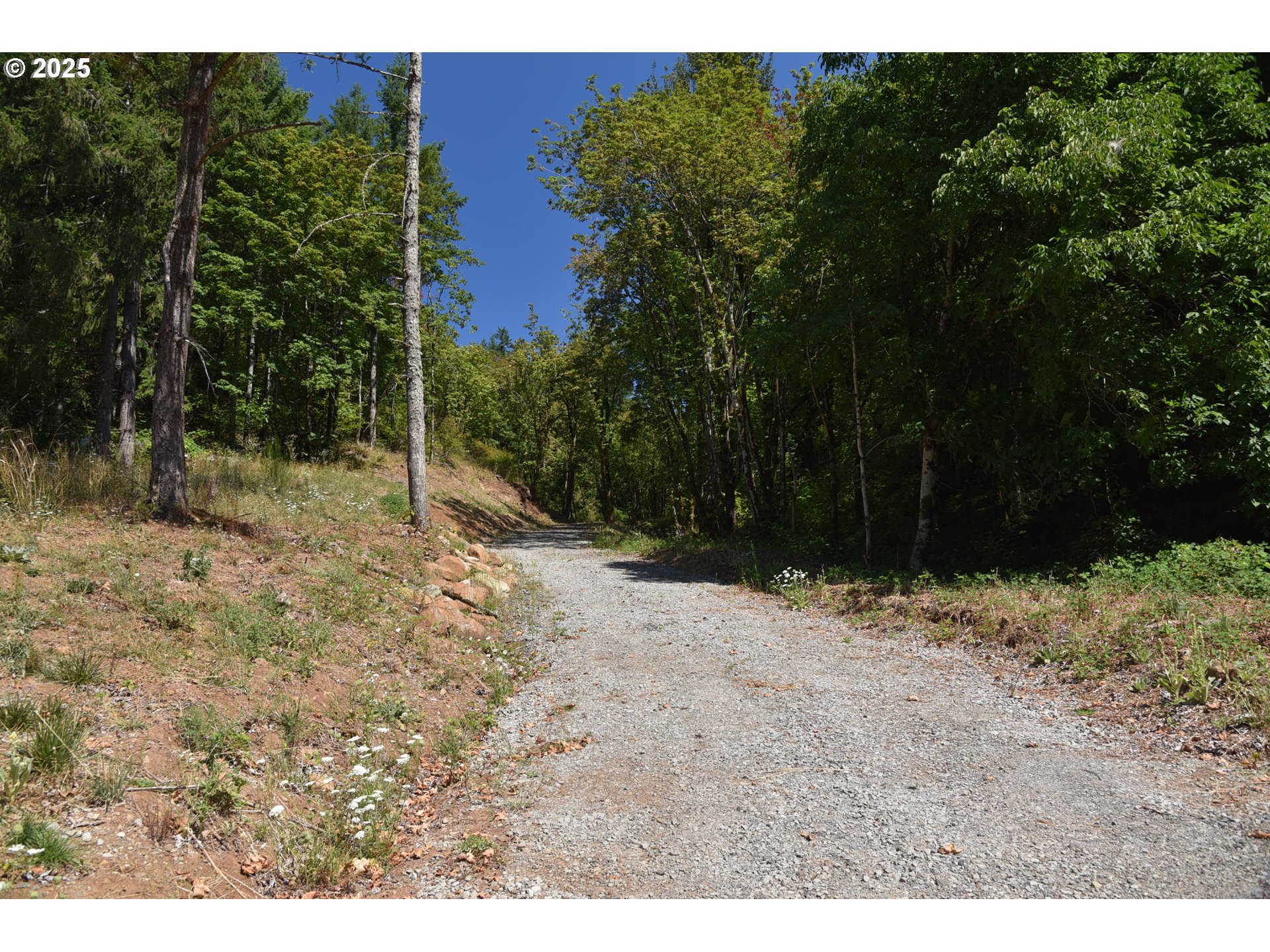 00 Mountain Rd Property Photo 3