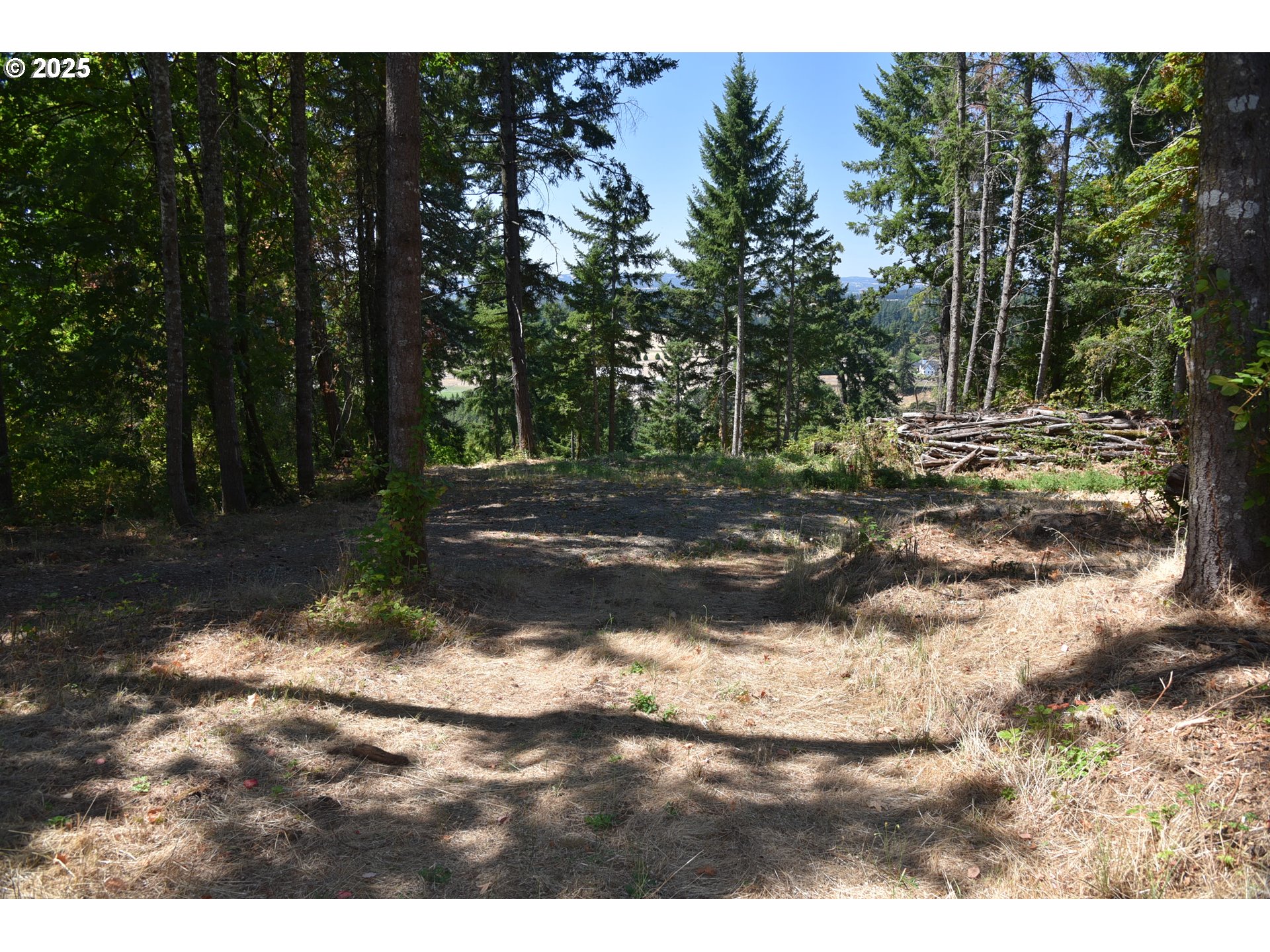 00 Mountain Rd Property Photo 8