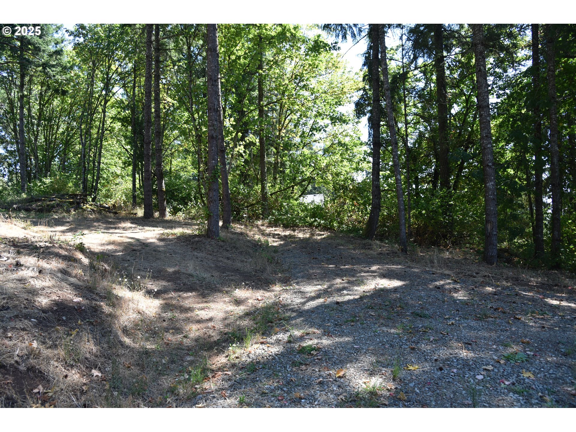 00 Mountain Rd Property Photo 9