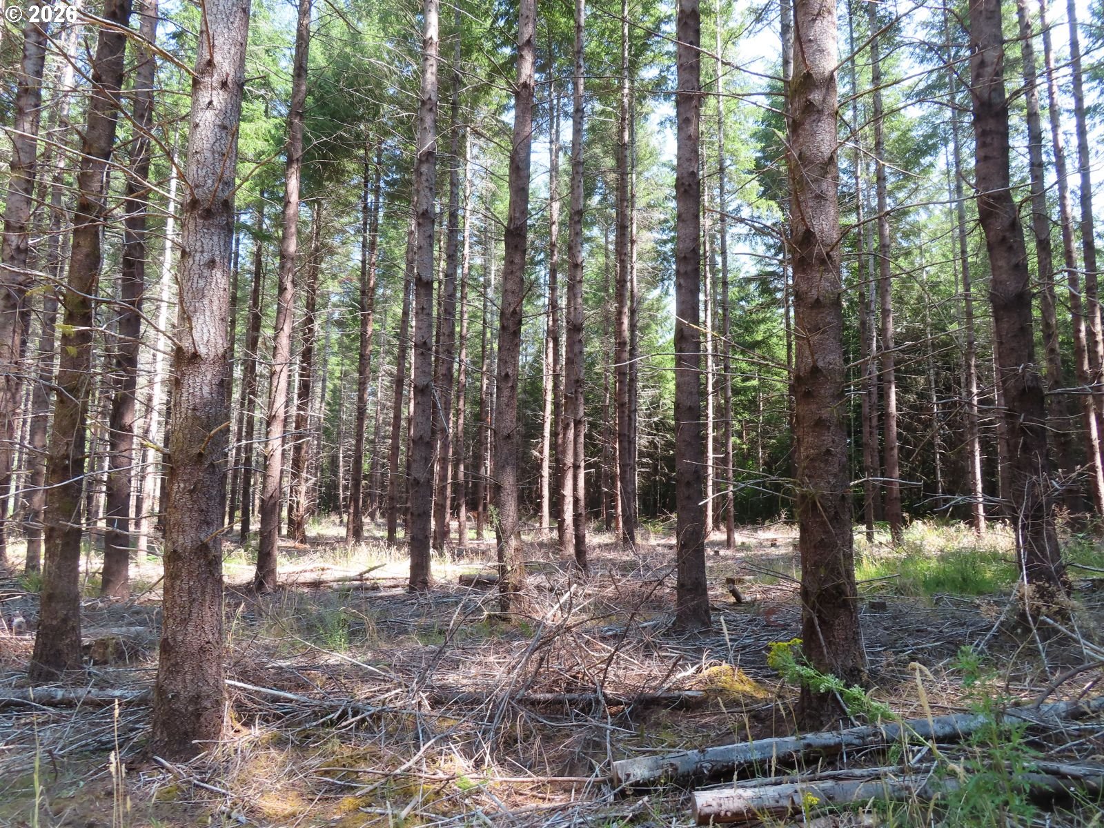 Chandler Rd Property Photo 1
