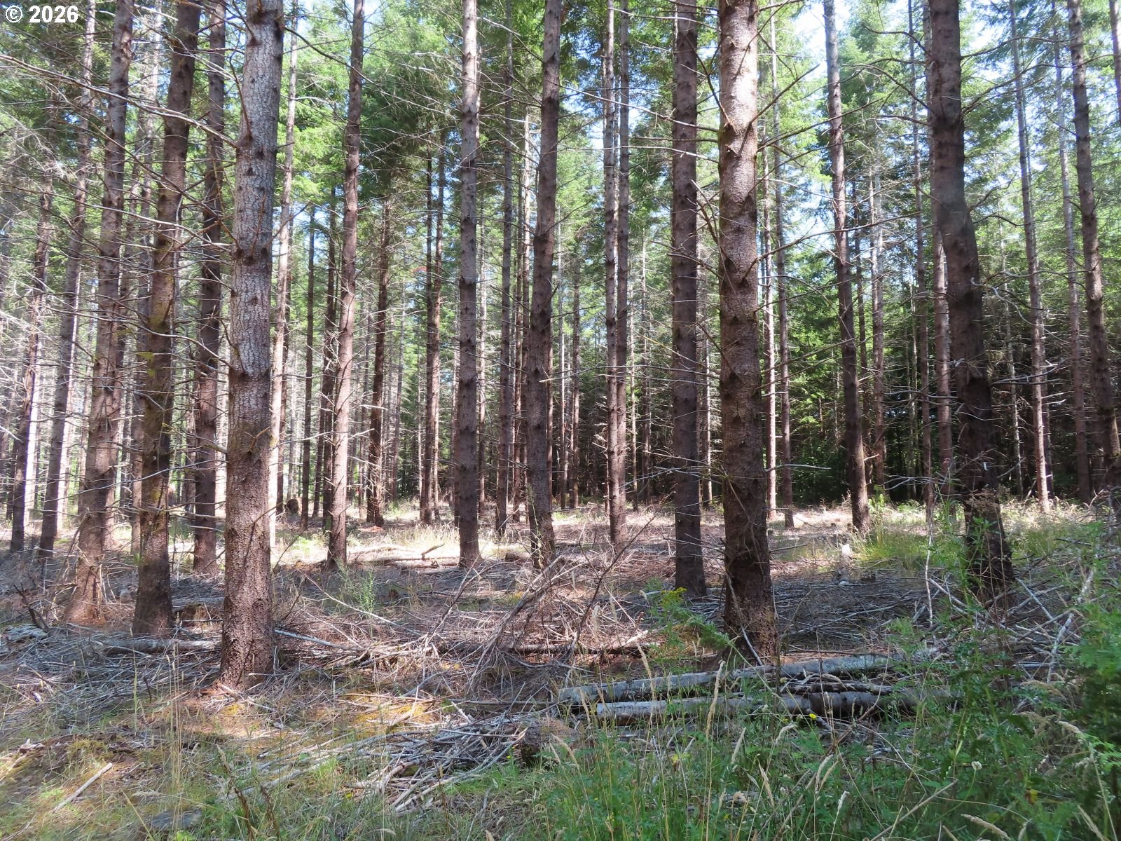 Chandler Rd Property Photo 5