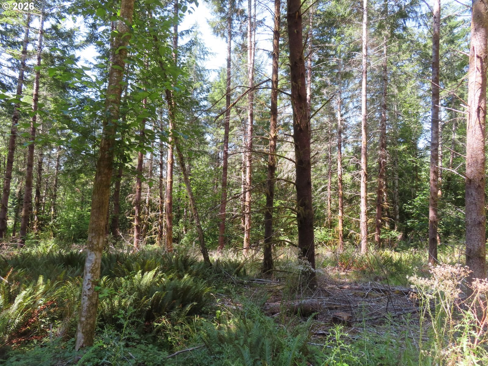 Chandler Rd Property Photo 14