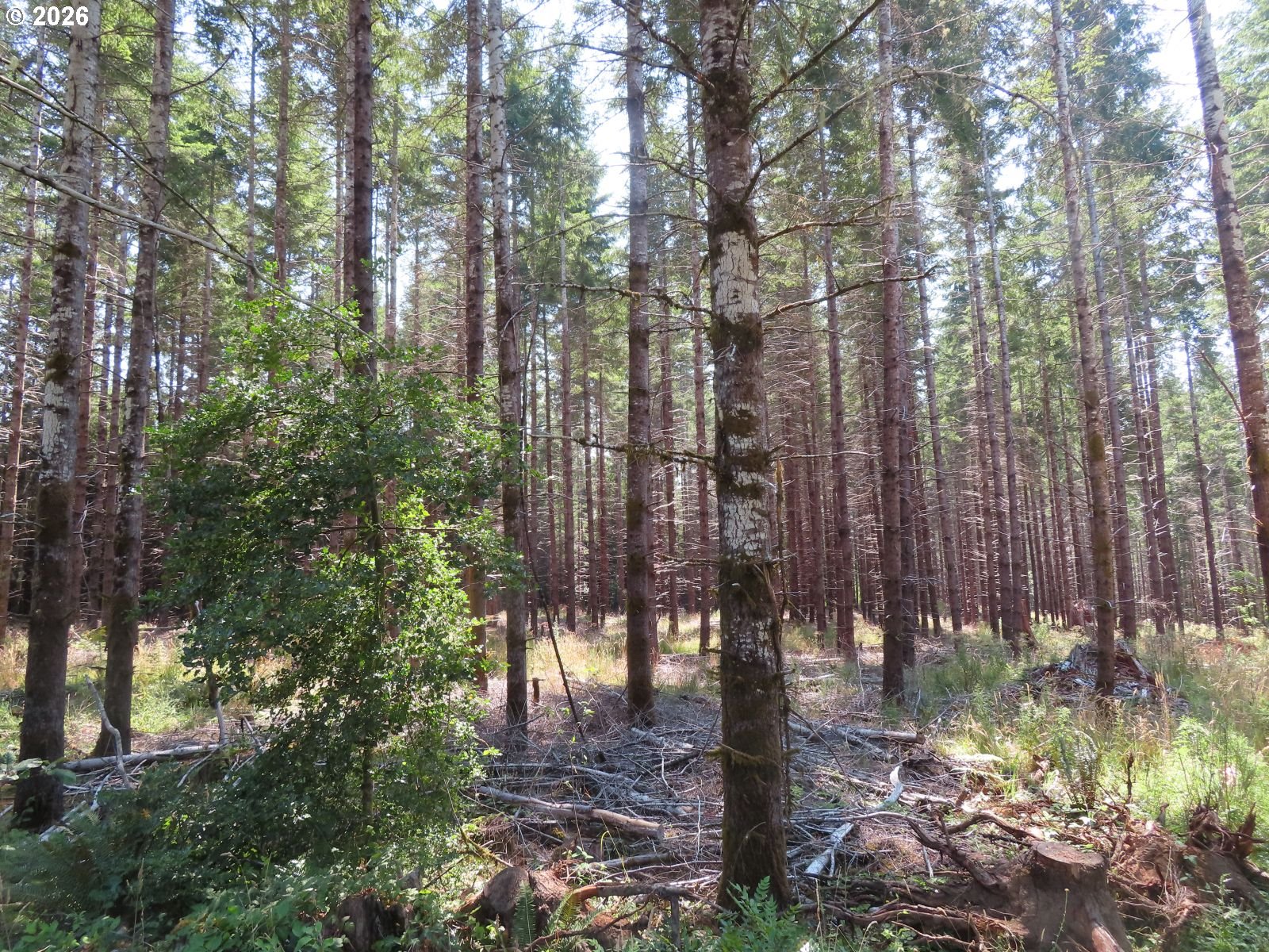 Chandler Rd Property Photo 16