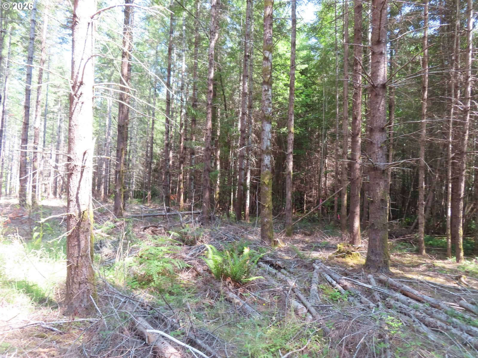 Chandler Rd Property Photo 18