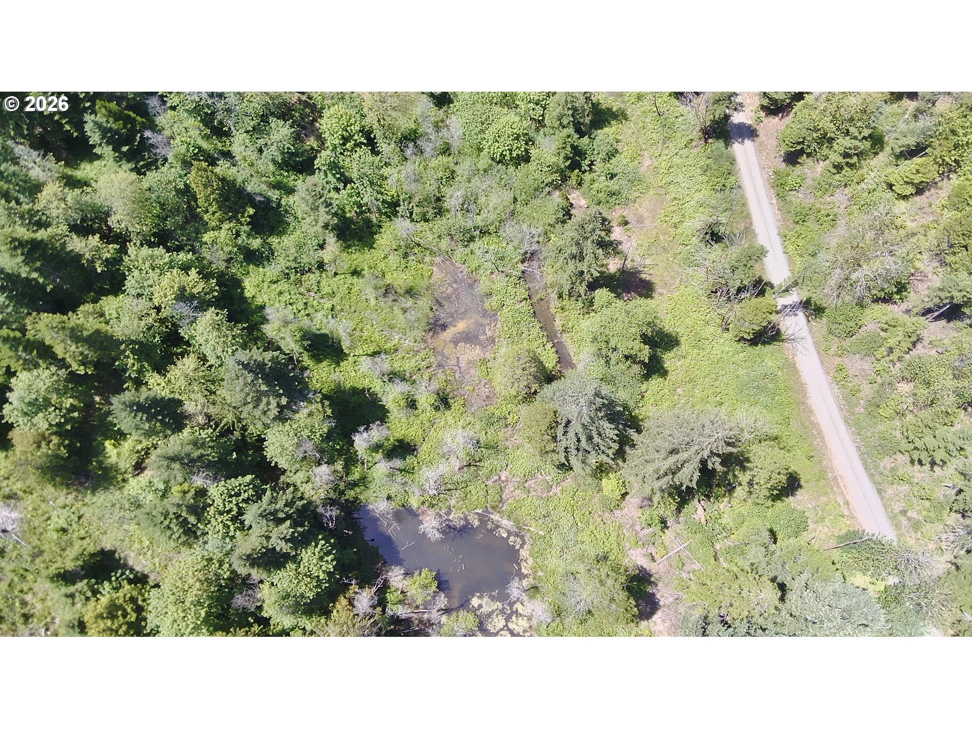Lees Creek Rd Property Photo 3