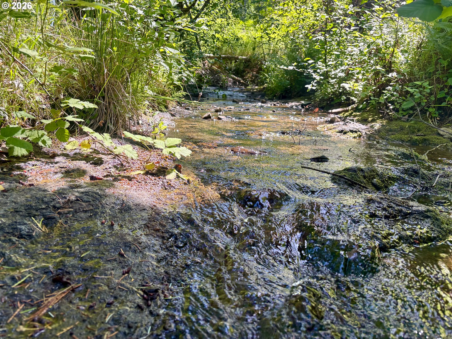 Lees Creek Rd Property Photo 8