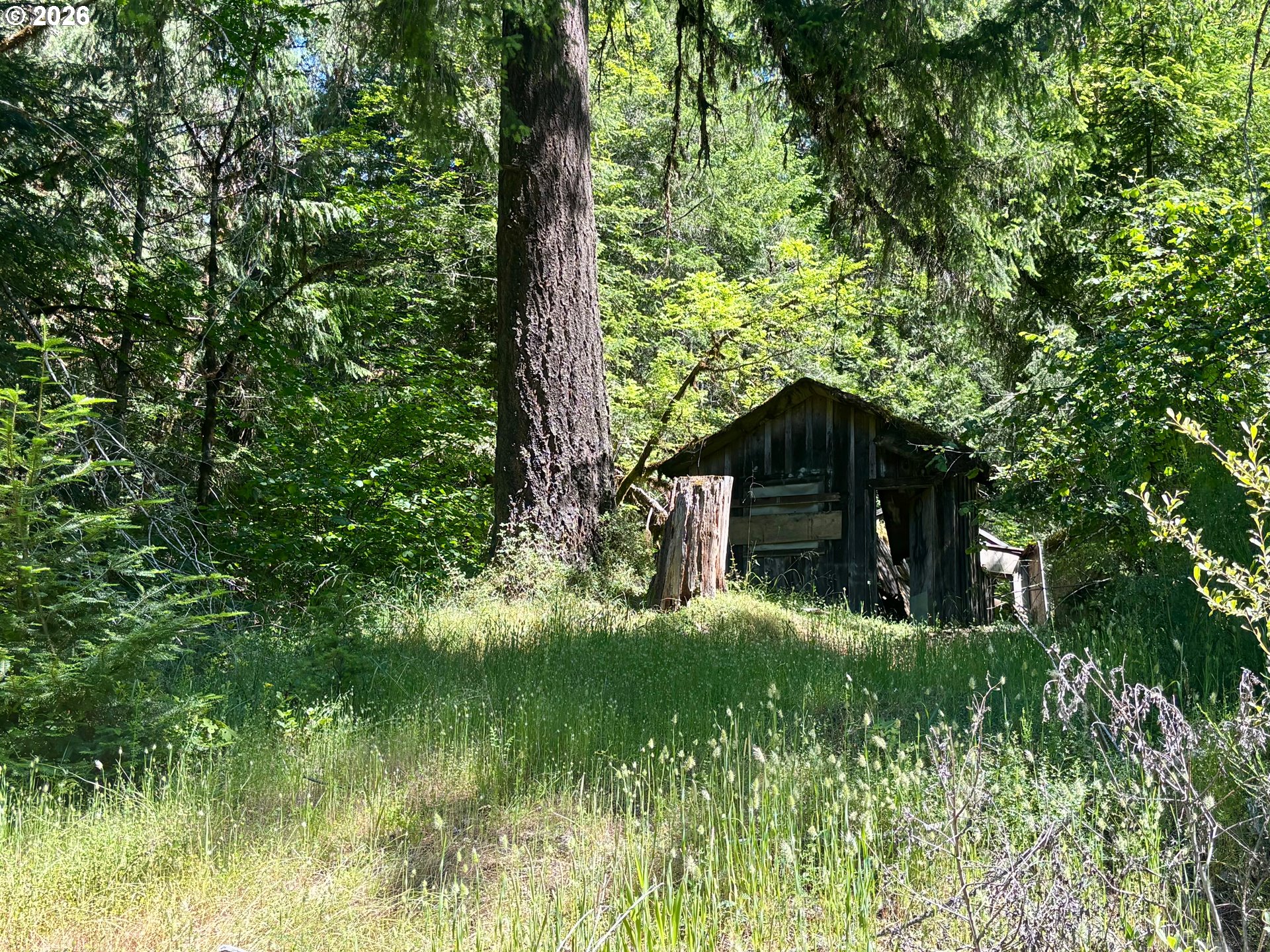 Lees Creek Rd Property Photo 9