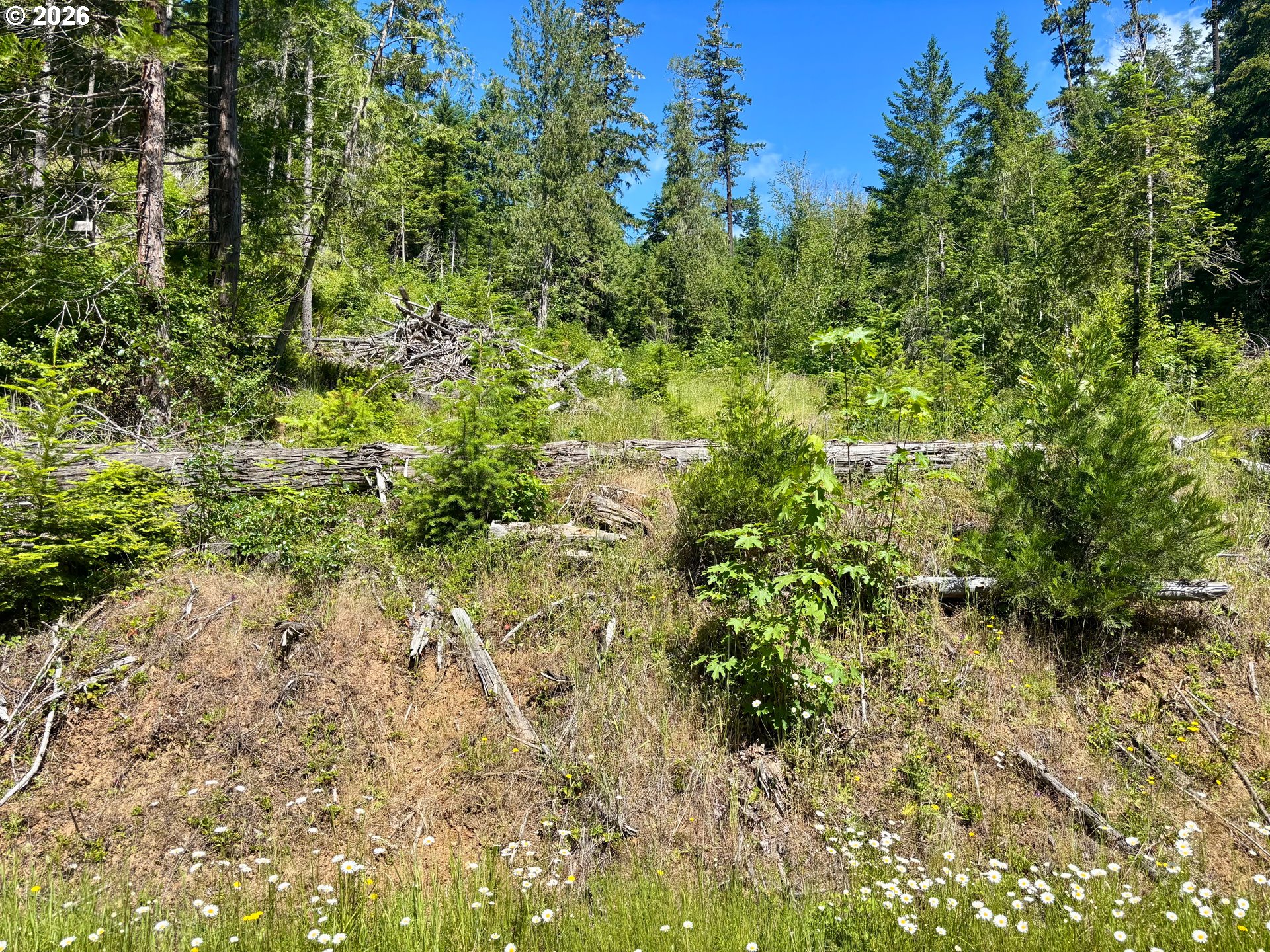 Lees Creek Rd Property Photo 10