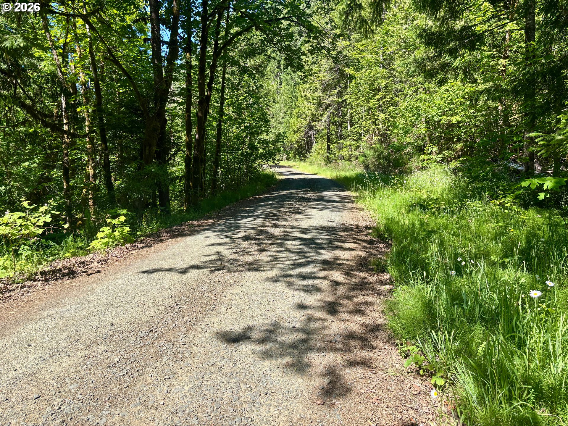 Lees Creek Rd Property Photo 11