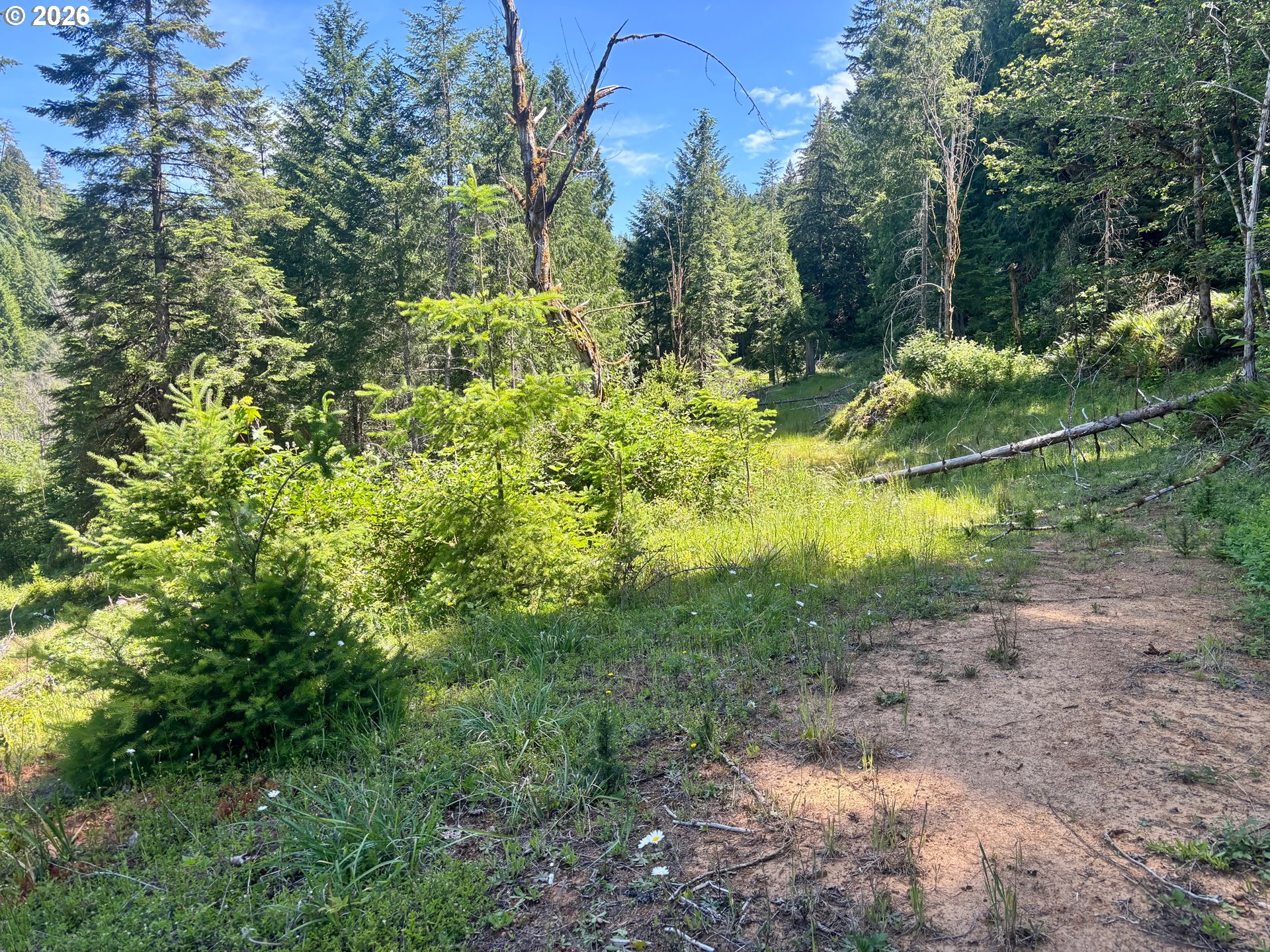 Lees Creek Rd Property Photo 14