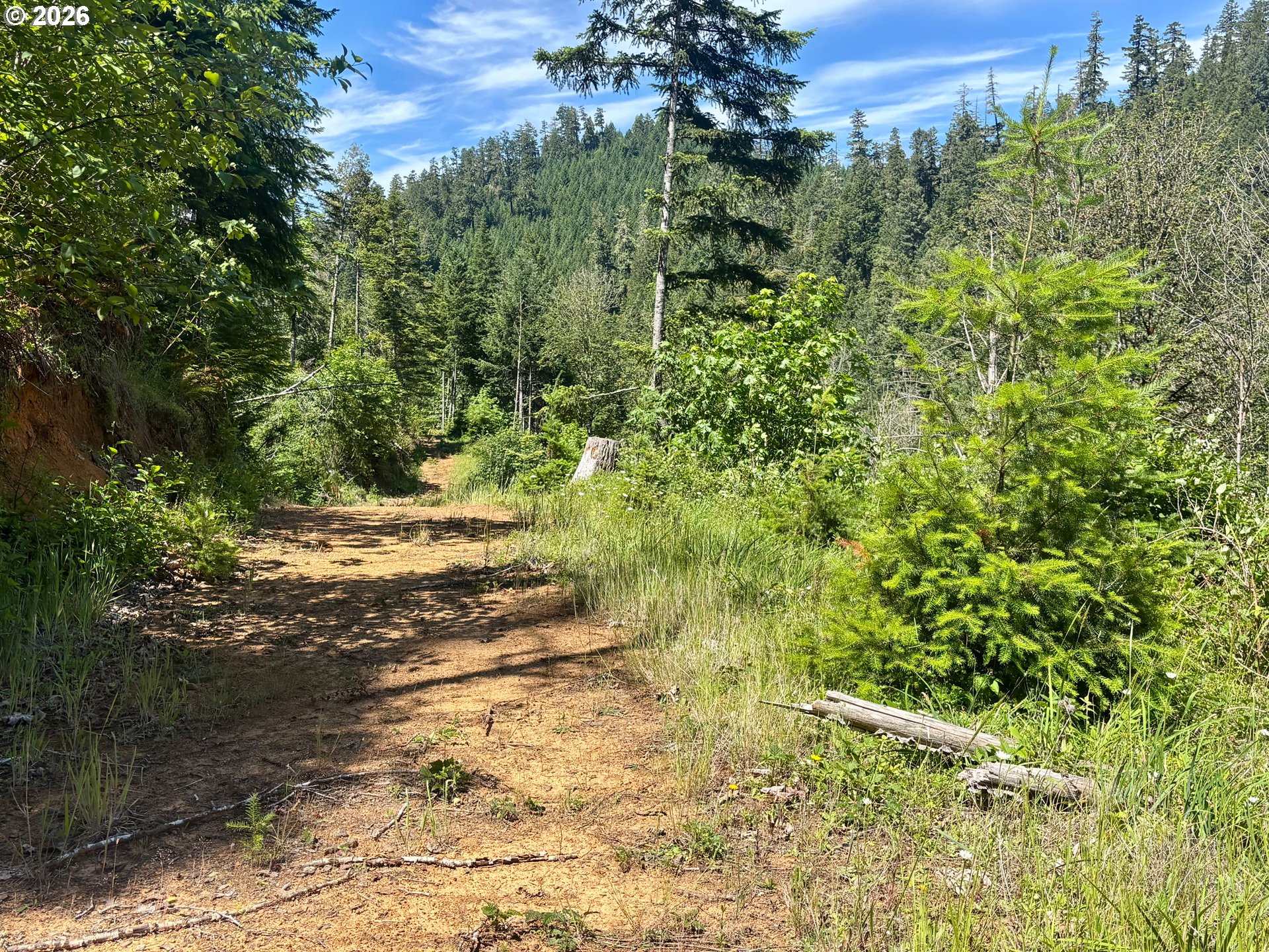 Lees Creek Rd Property Photo 15
