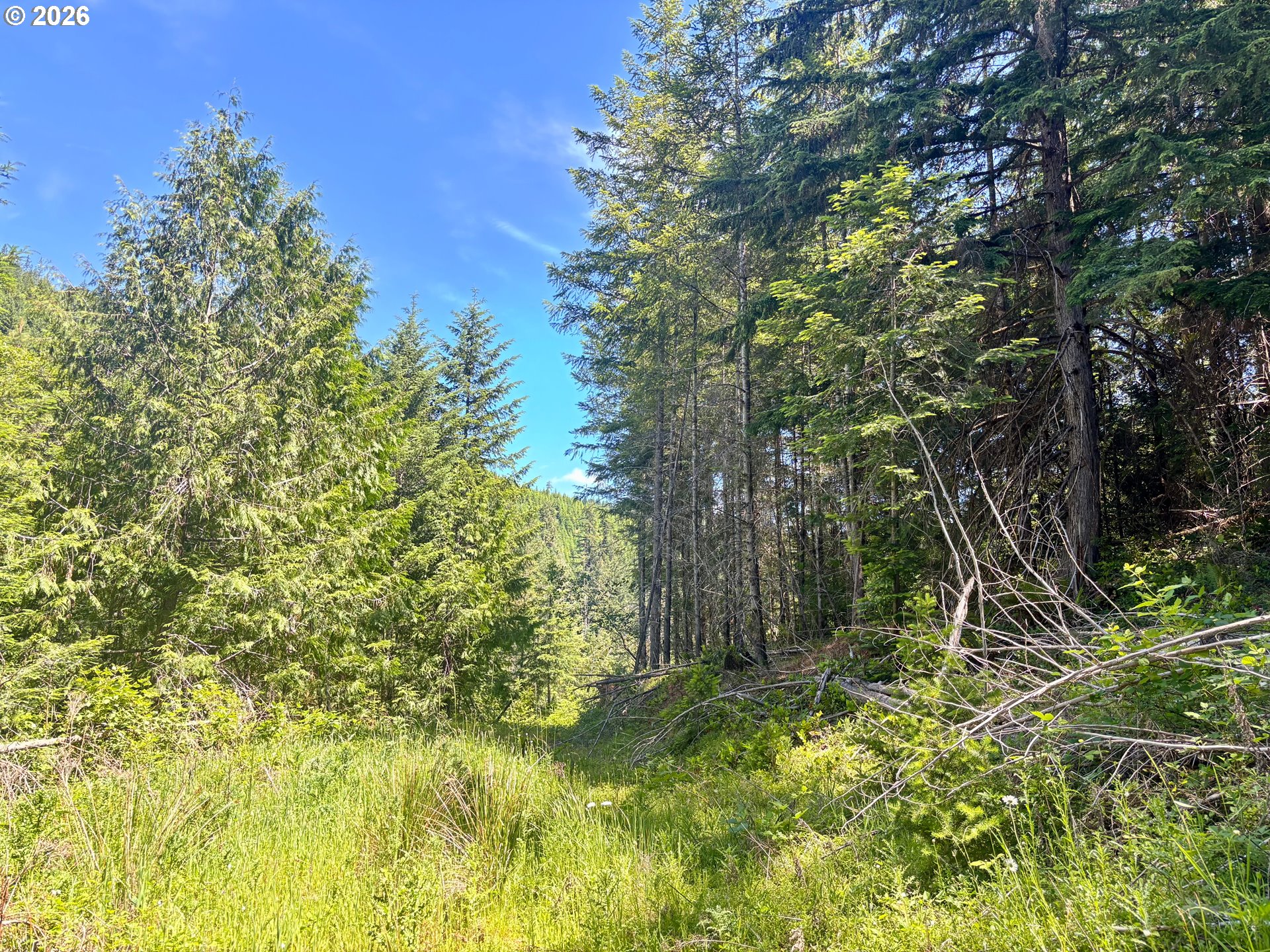 Lees Creek Rd Property Photo 16