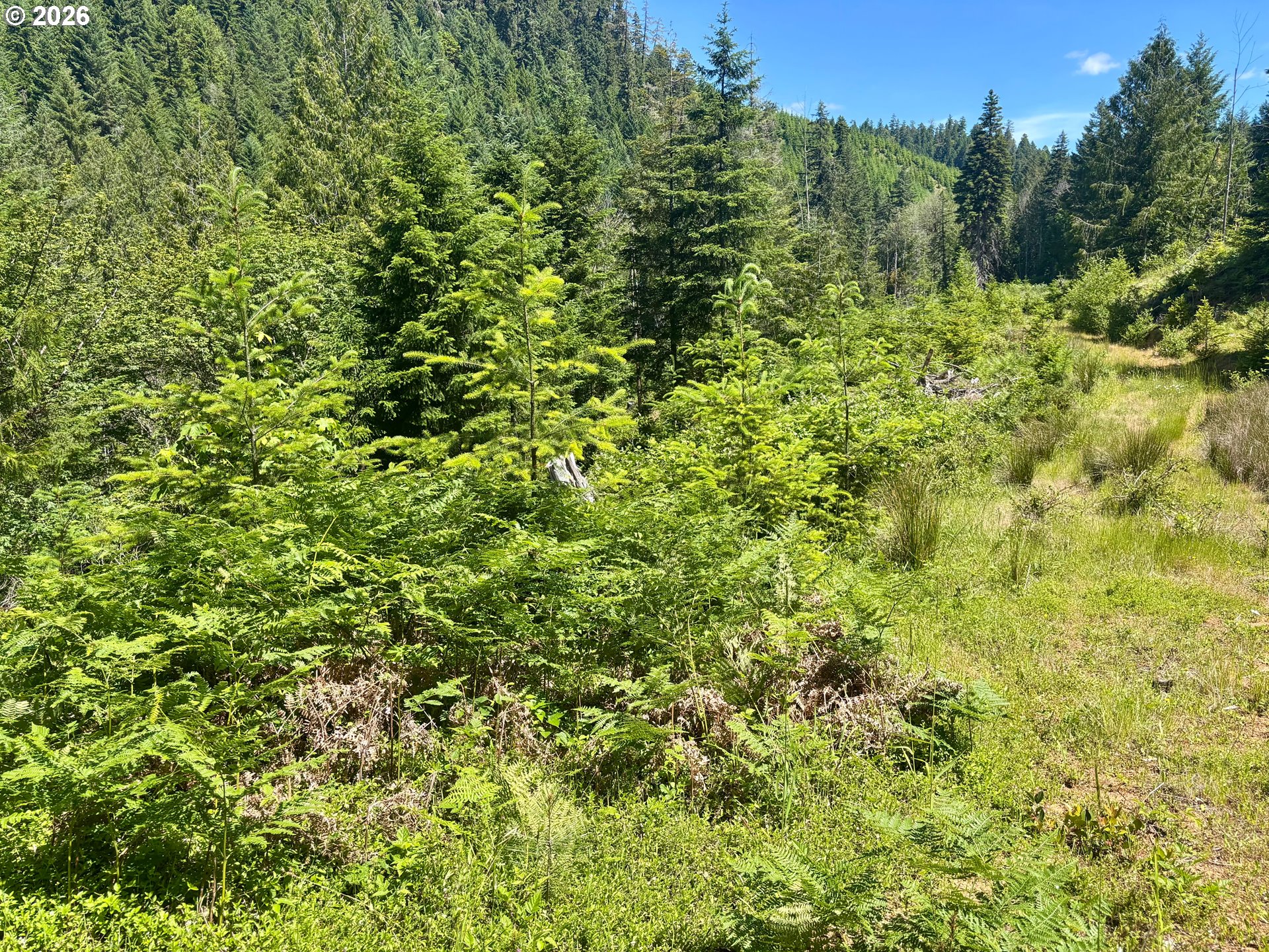 Lees Creek Rd Property Photo 17