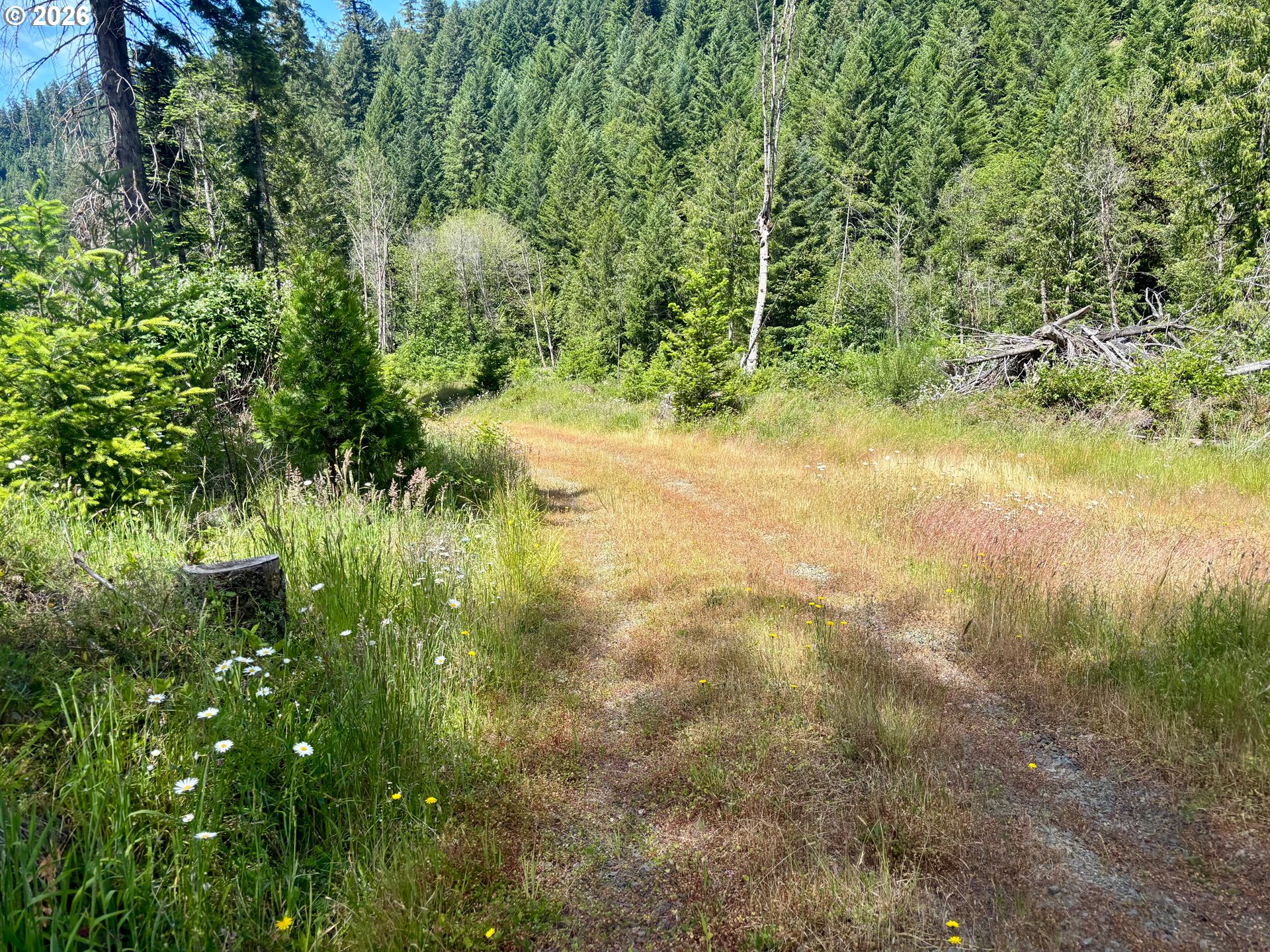 Lees Creek Rd Property Photo 18