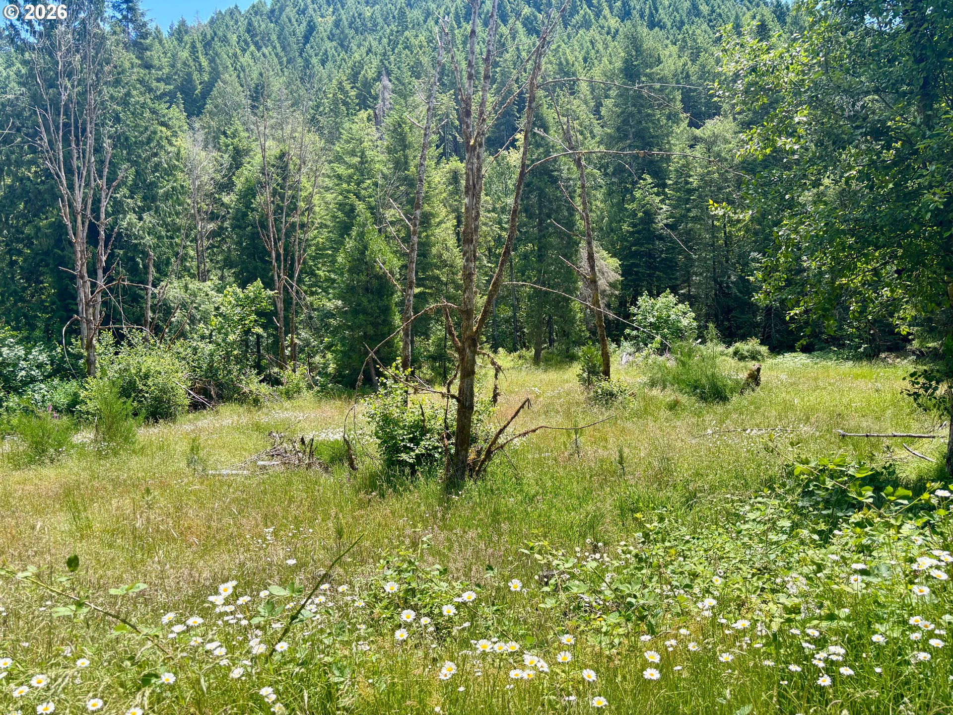 Lees Creek Rd Property Photo 19