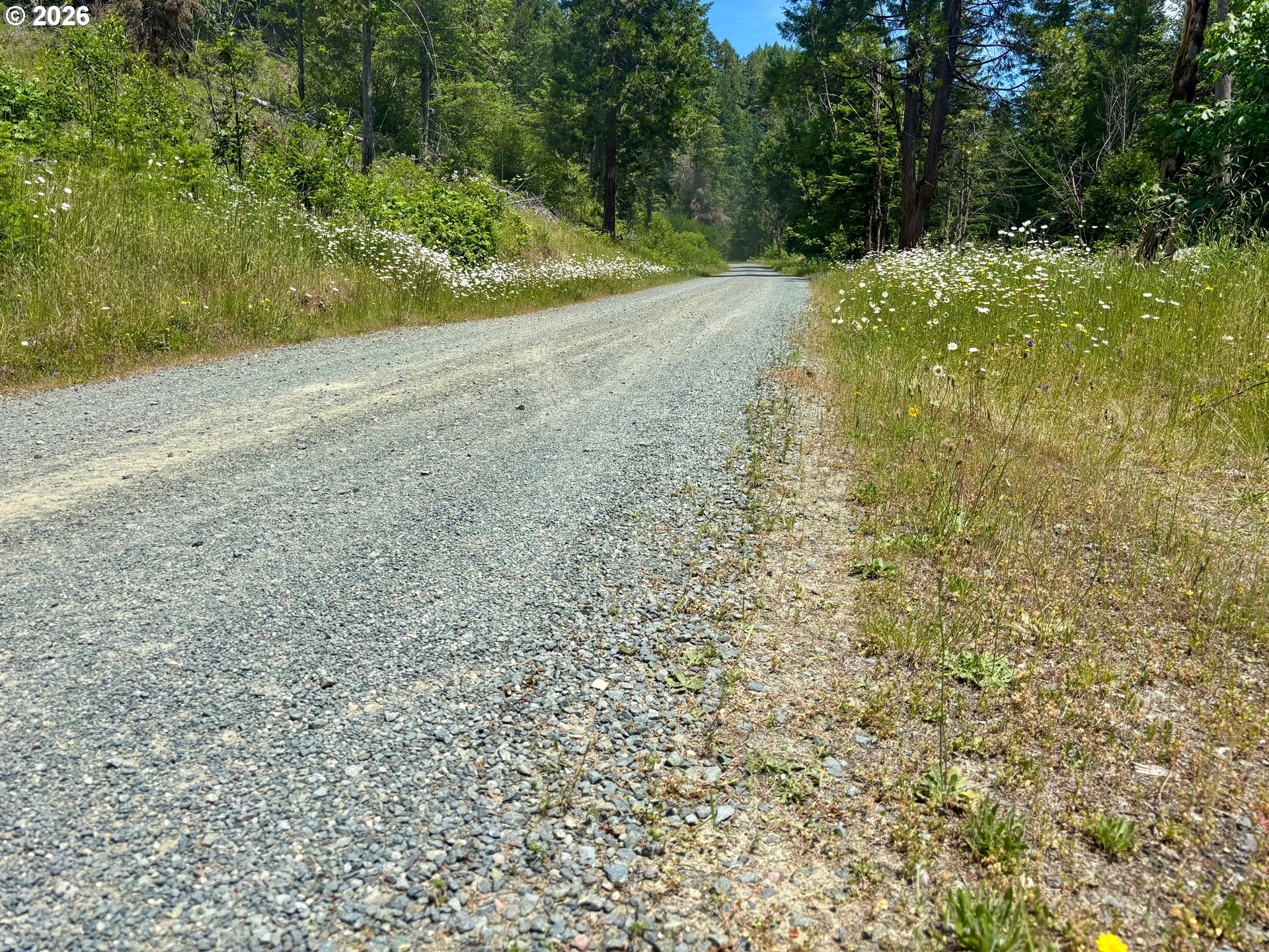 Lees Creek Rd Property Photo 20