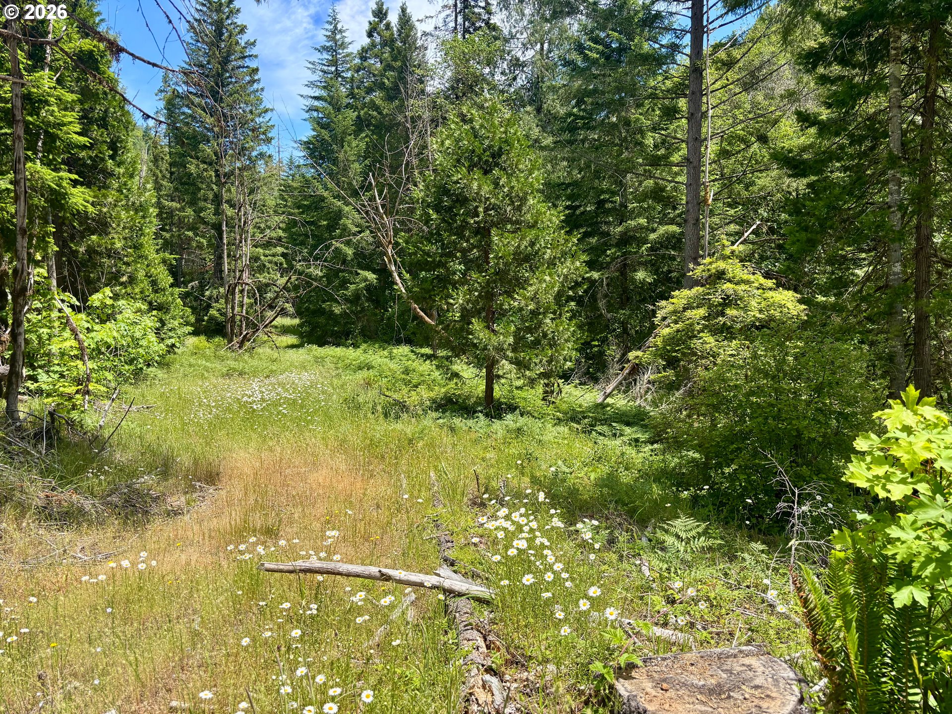 Lees Creek Rd Property Photo 21