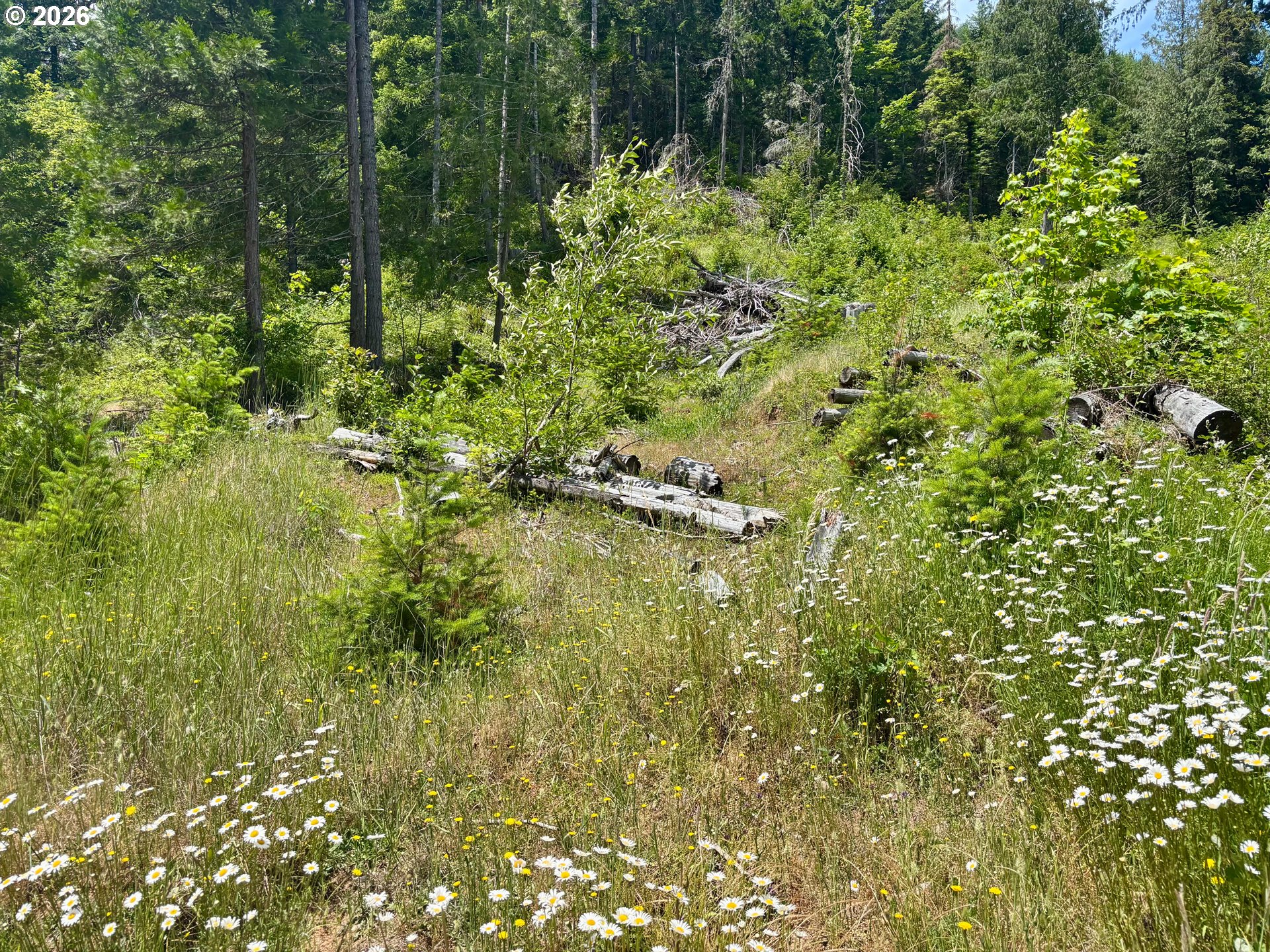 Lees Creek Rd Property Photo 22