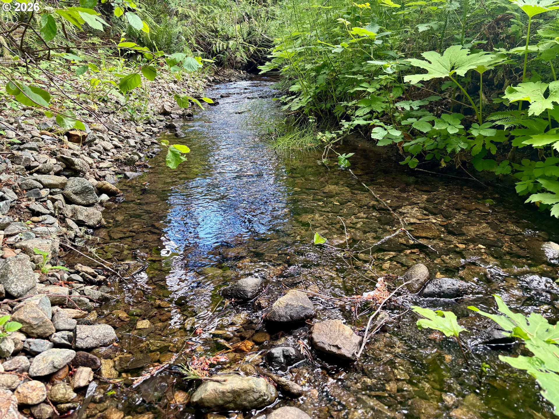 Lees Creek Rd Property Photo 23