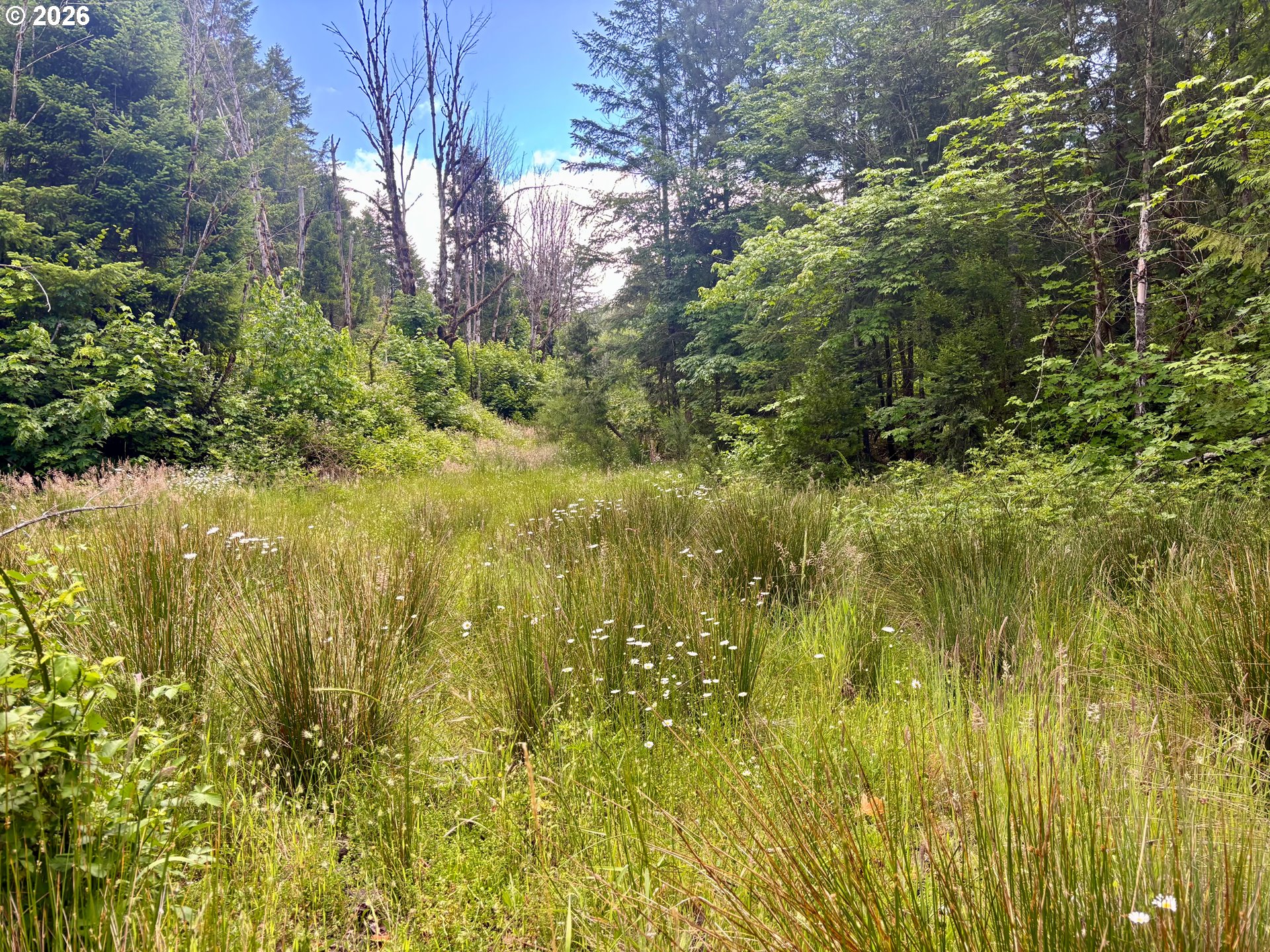 Lees Creek Rd Property Photo 24