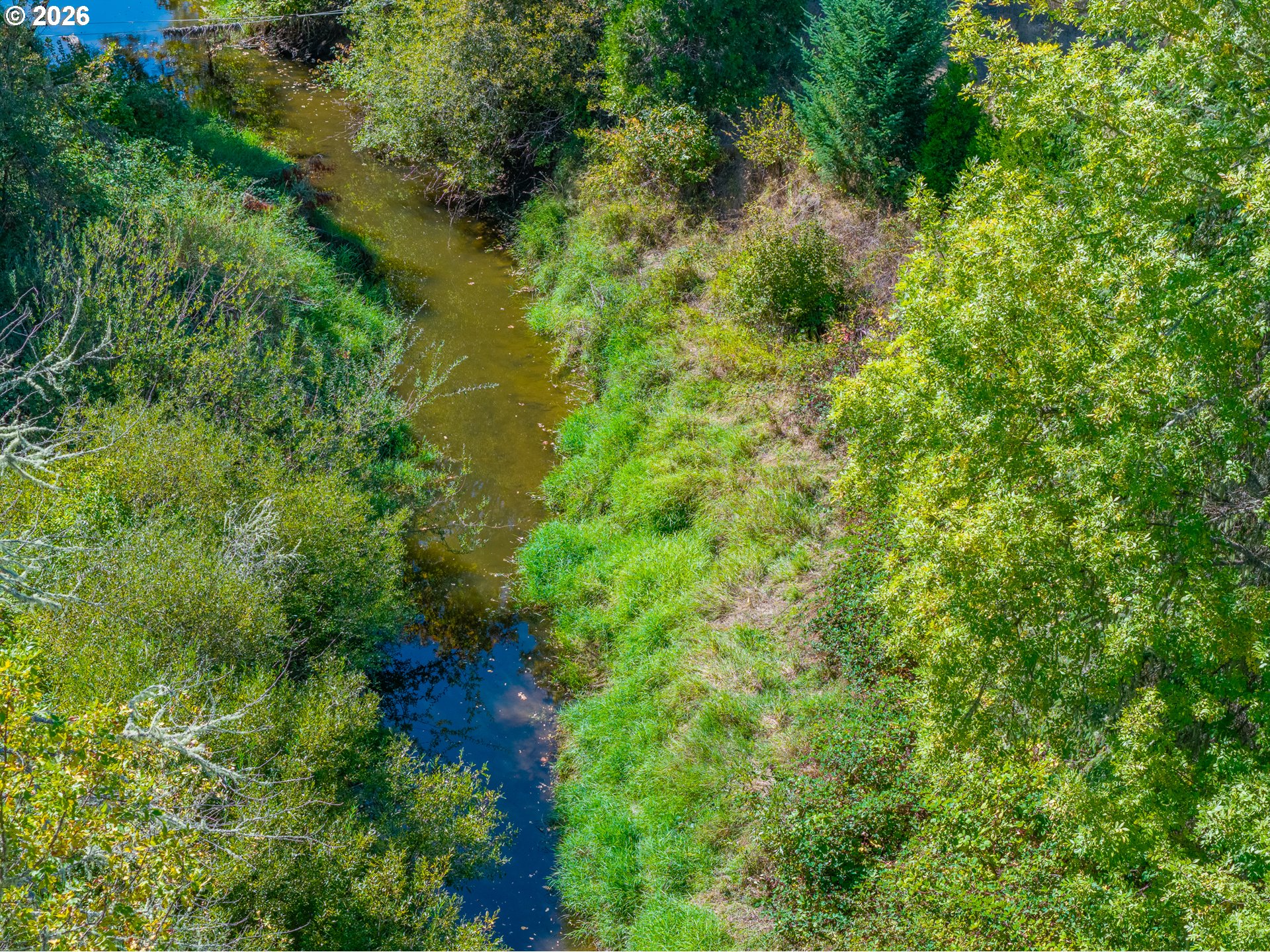 19521 Highway 42 Property Photo 45