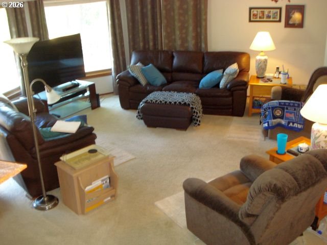 321 Arcadia Dr Property Photo 16