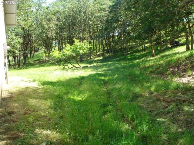 321 Arcadia Dr Property Photo 20
