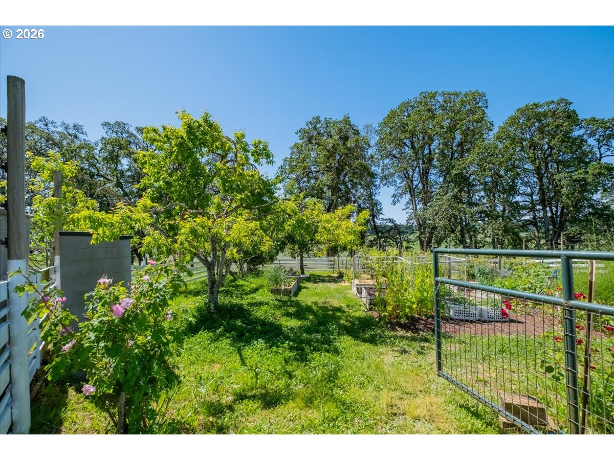 6515 Kurtz Rd Property Photo 24