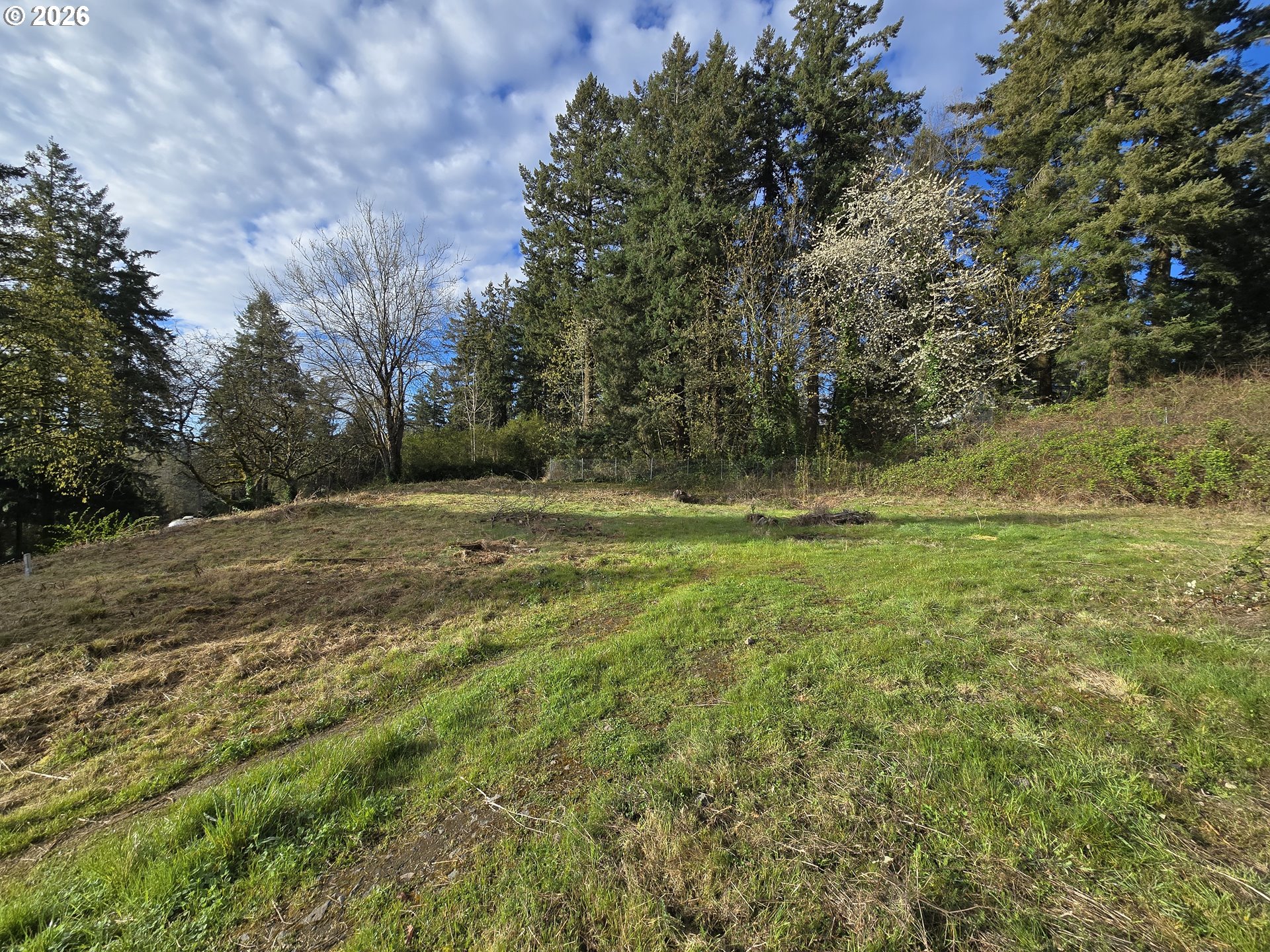Sw 41st Ave Lot #2 Property Photo 6