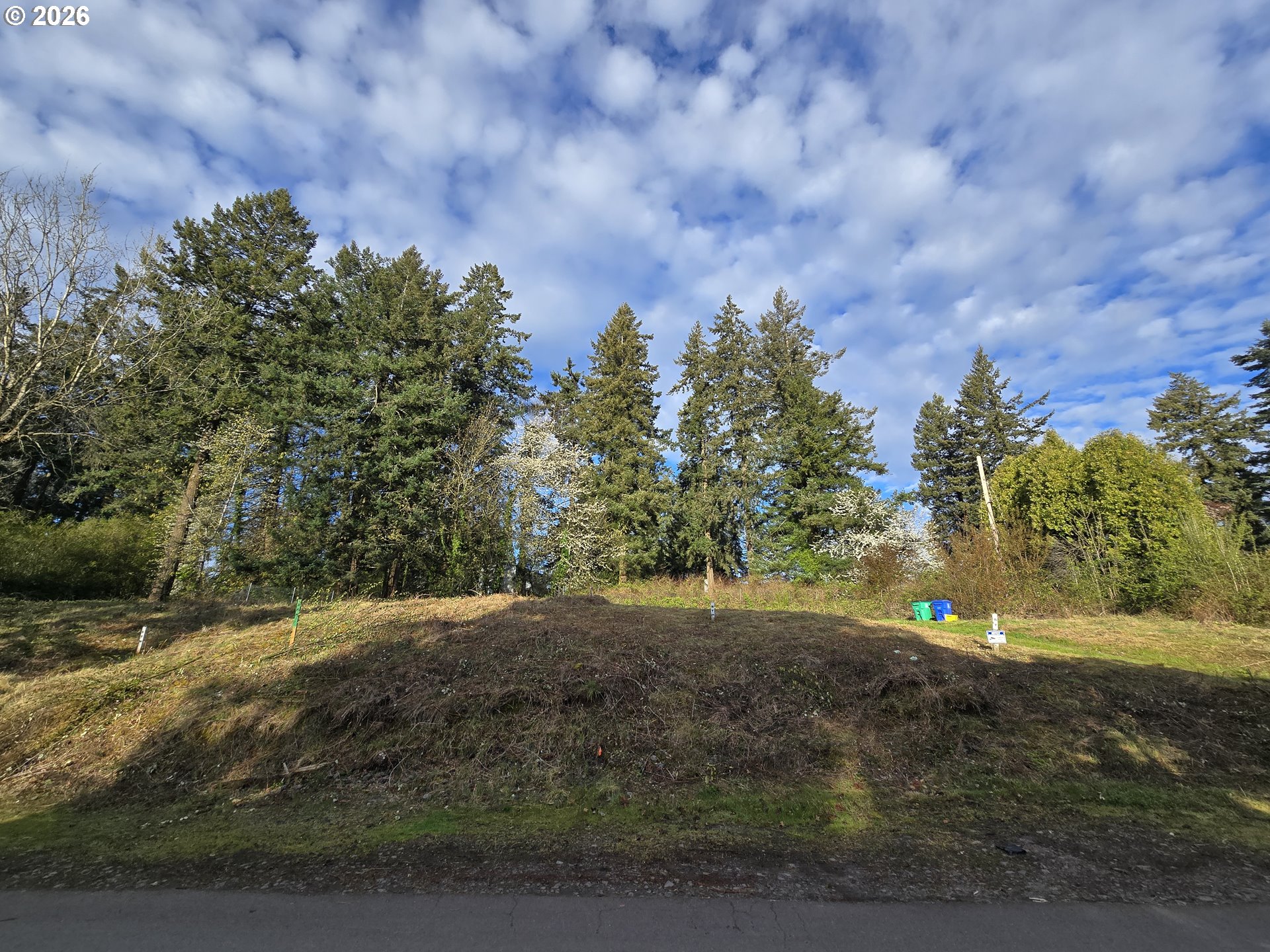 Sw 41st Ave Lot #2 Property Photo 16