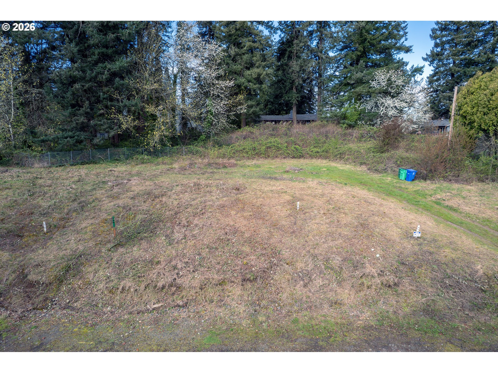Sw 41st Ave Lot #2 Property Photo 20