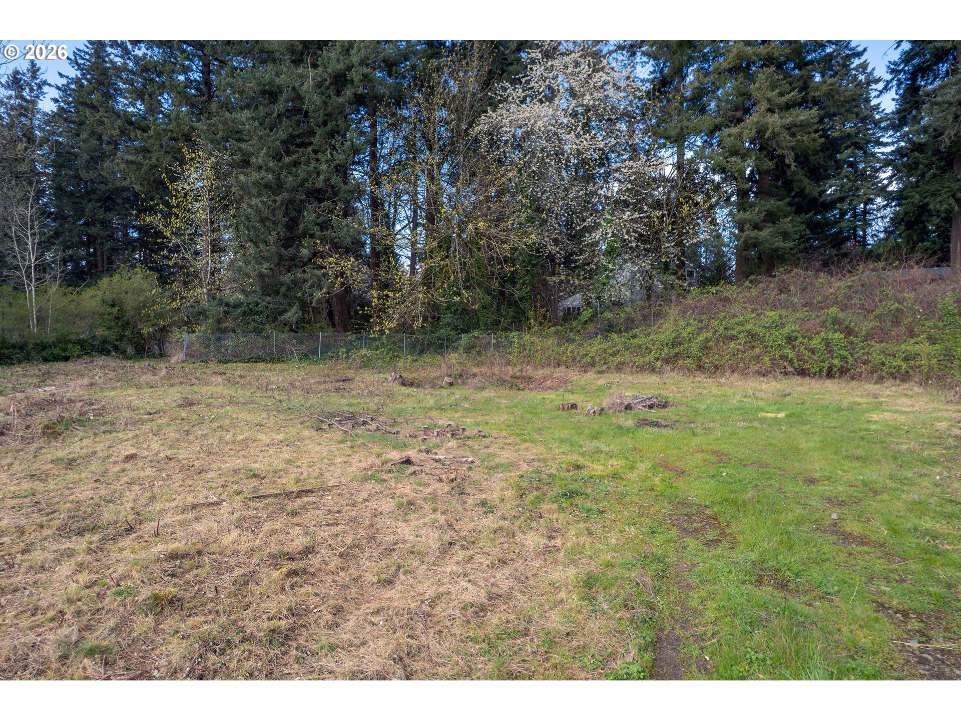 Sw 41st Ave Lot #2 Property Photo 22
