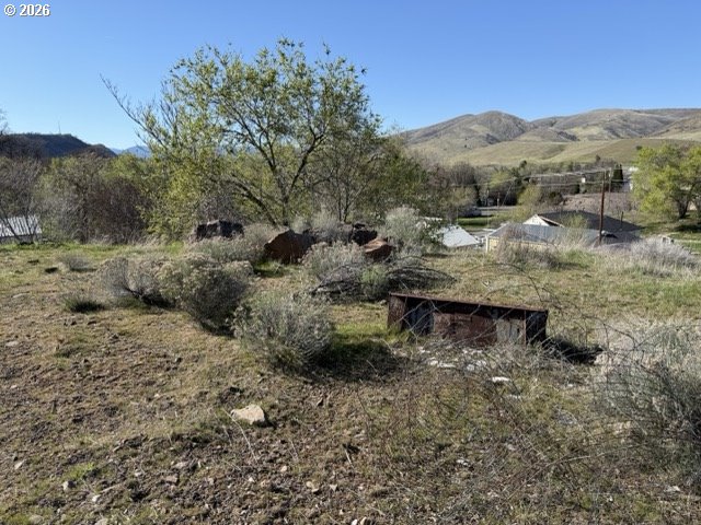 0 Wamic Market Road Property Photo 15