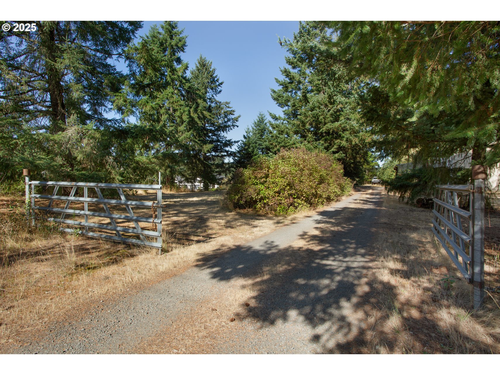 5545 Skyline Rd Property Photo 4