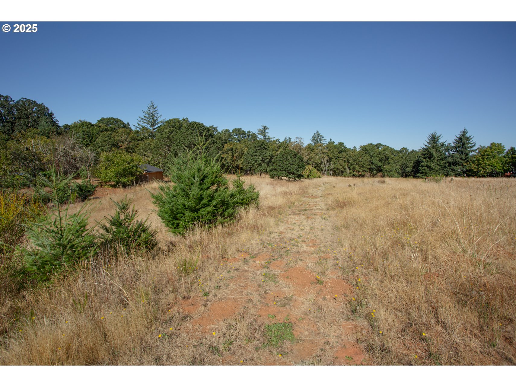 5545 Skyline Rd Property Photo 8