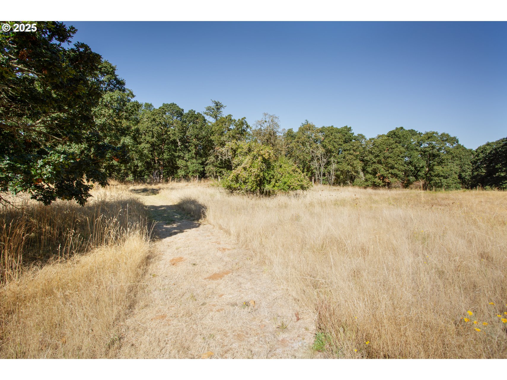 5545 Skyline Rd Property Photo 9