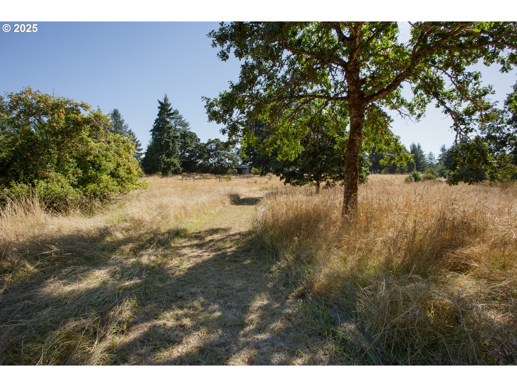 5545 Skyline Rd Property Photo 10