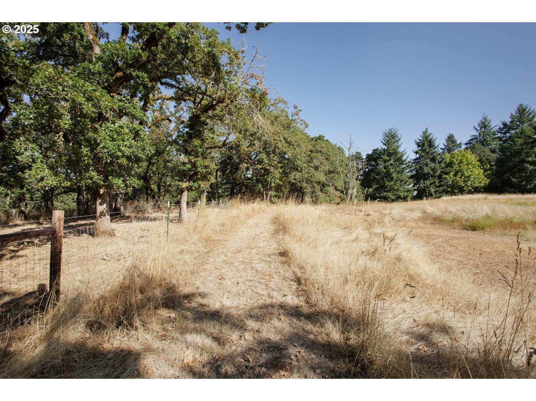 5545 Skyline Rd Property Photo 11