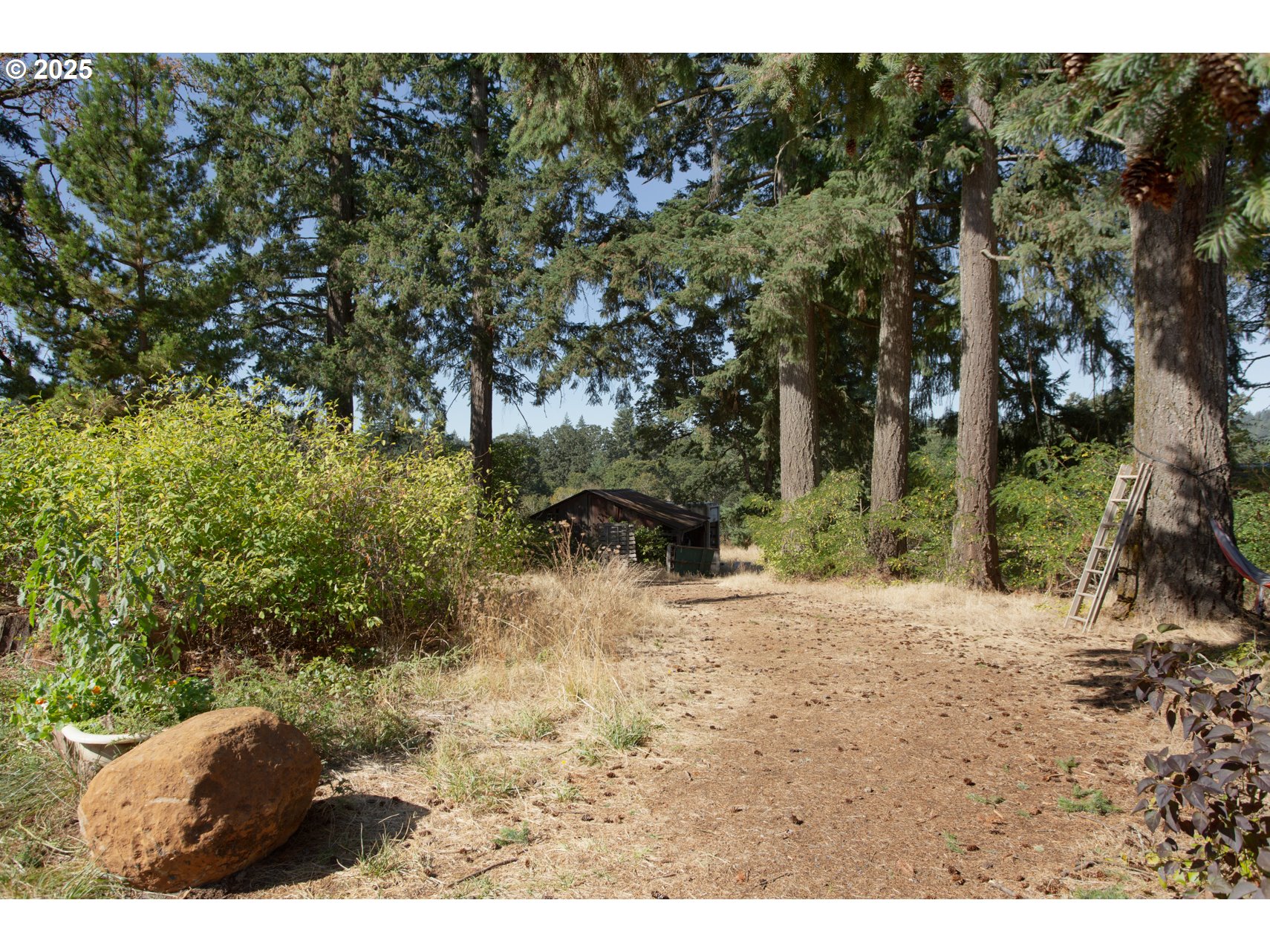 5545 Skyline Rd Property Photo 16