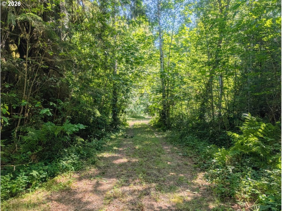 20284 E Carnarvon Dr Property Photo 2