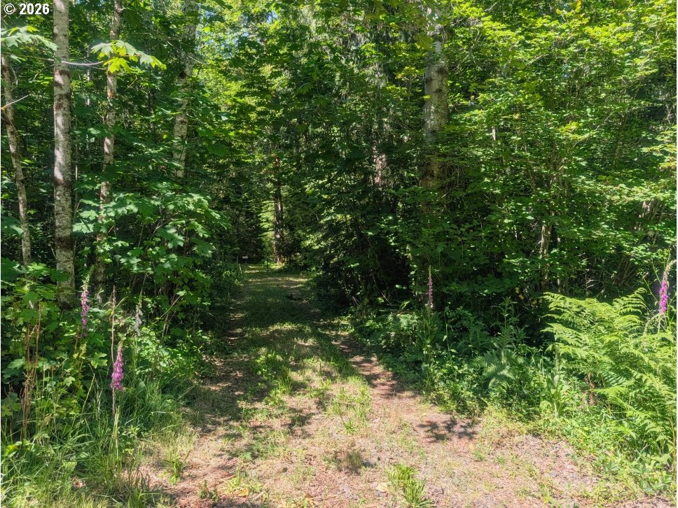 20284 E Carnarvon Dr Property Photo 11